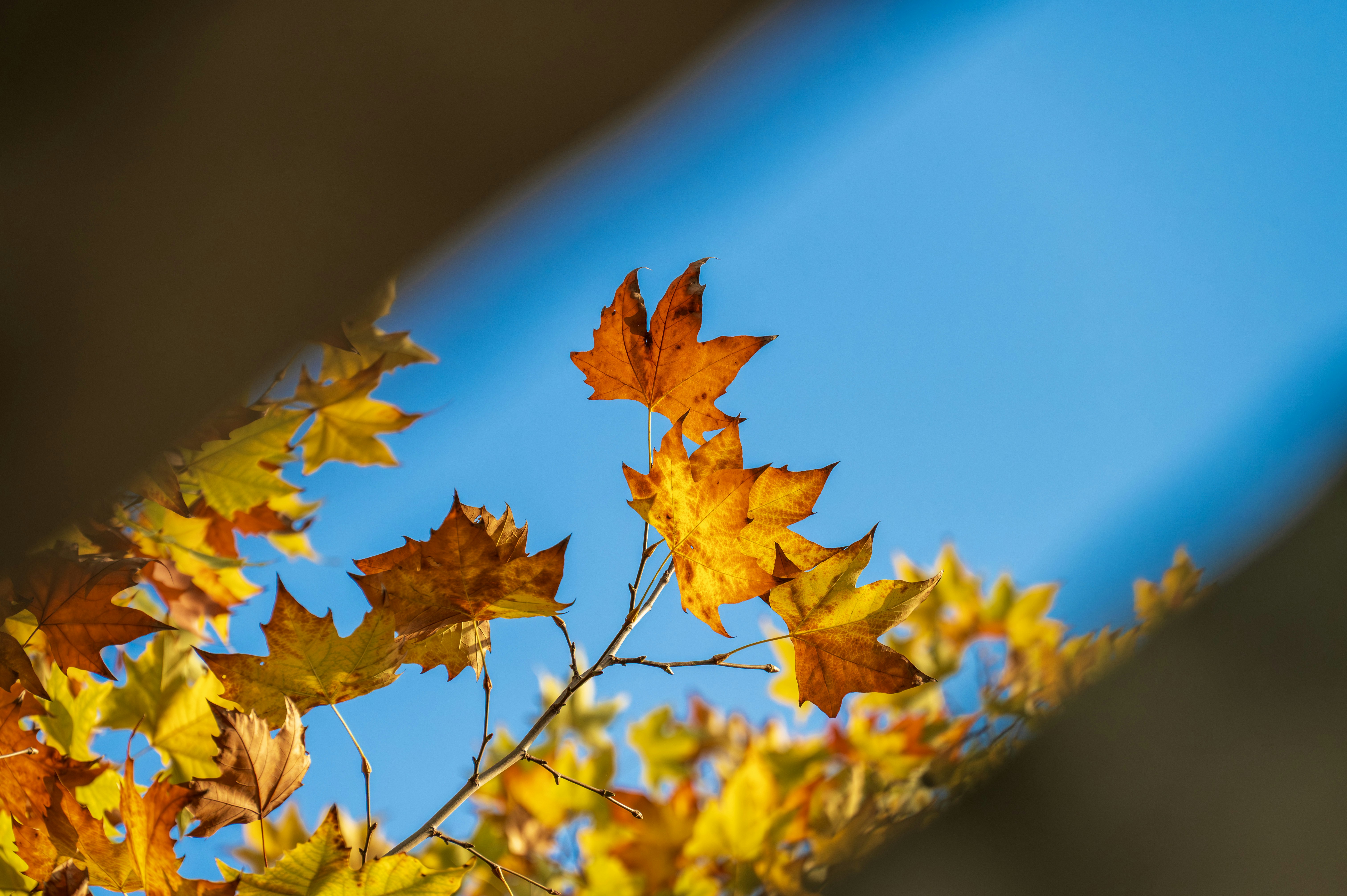 Photo by excellentcx