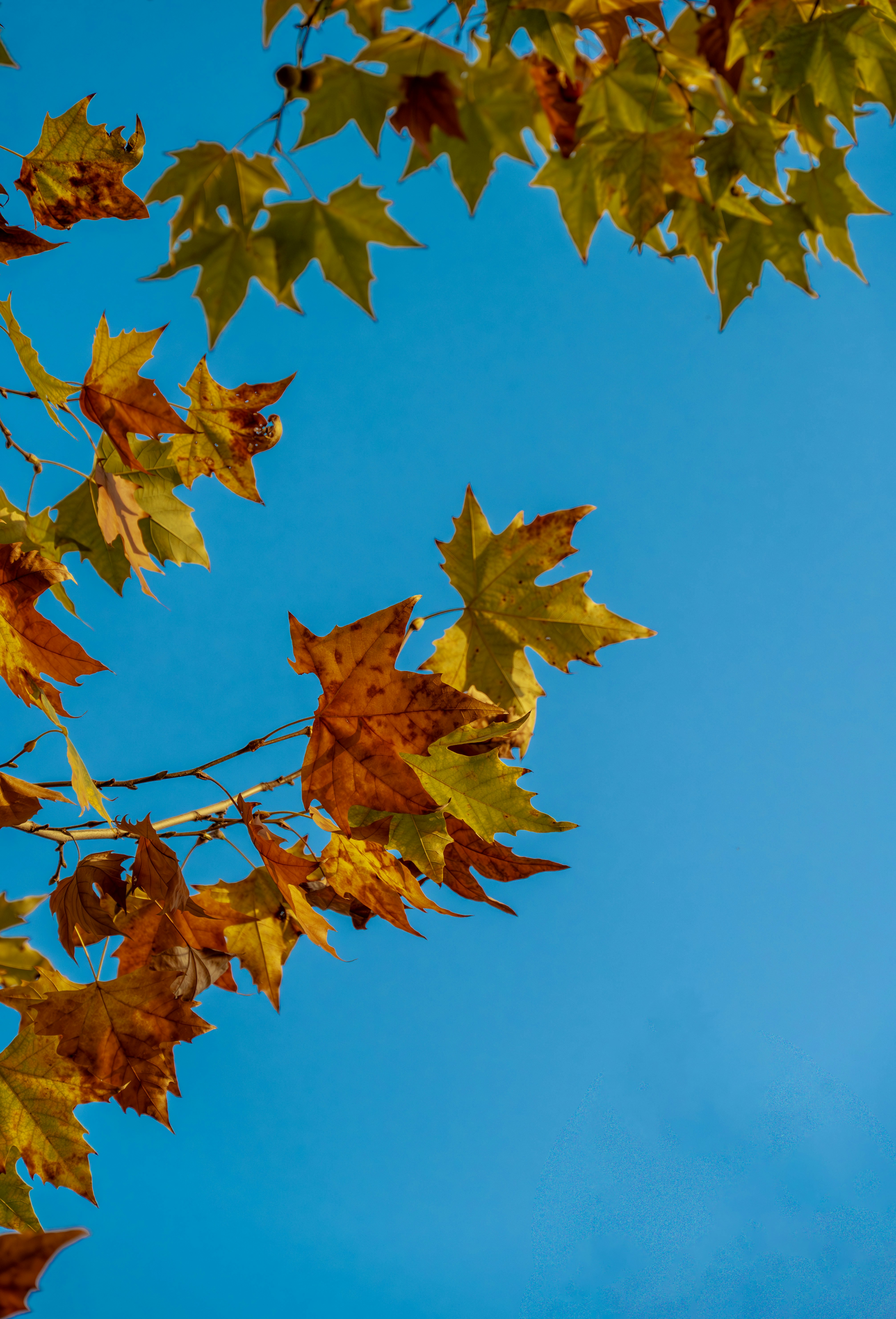 Photo by excellentcx