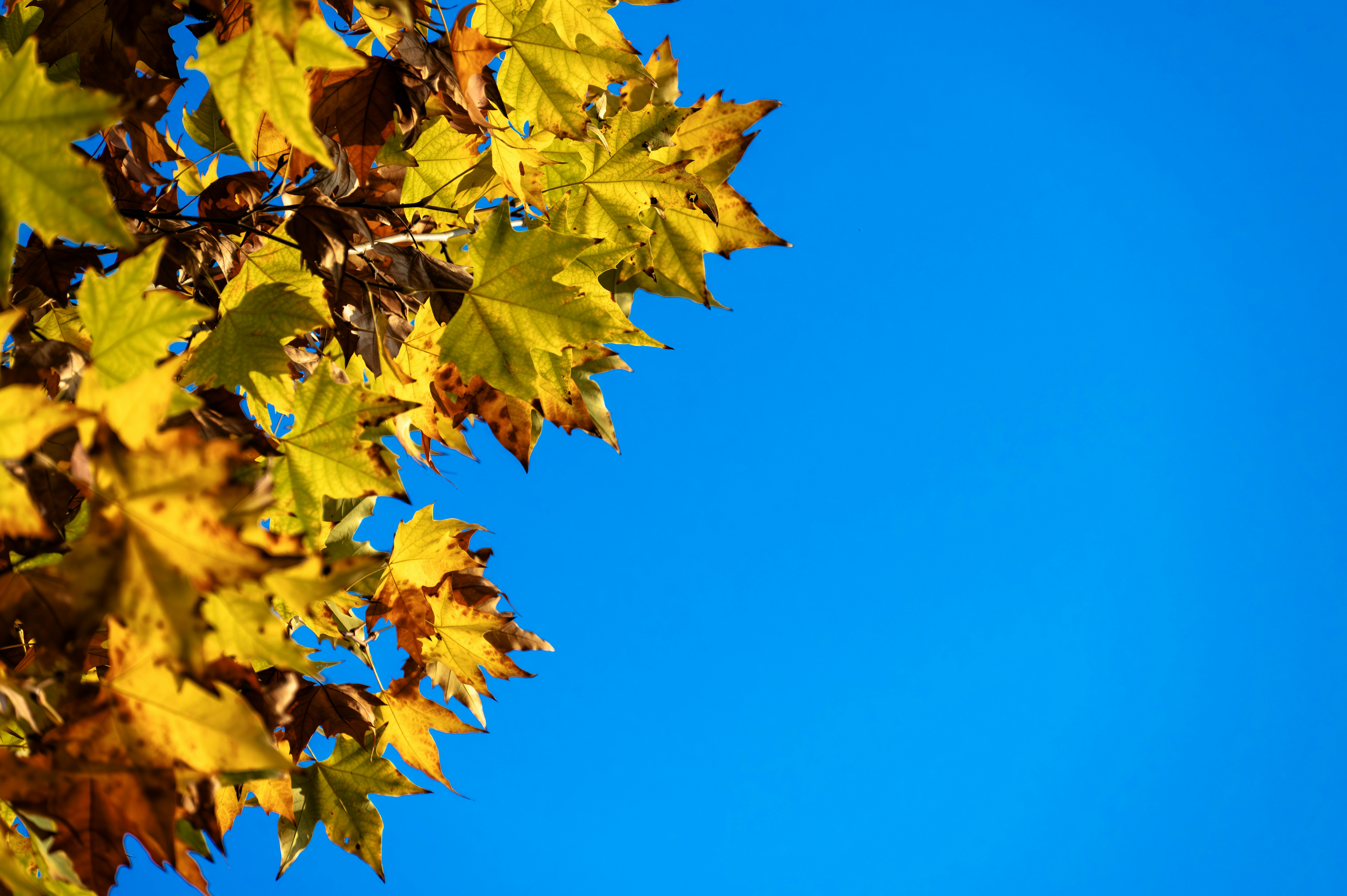 Photo by excellentcx