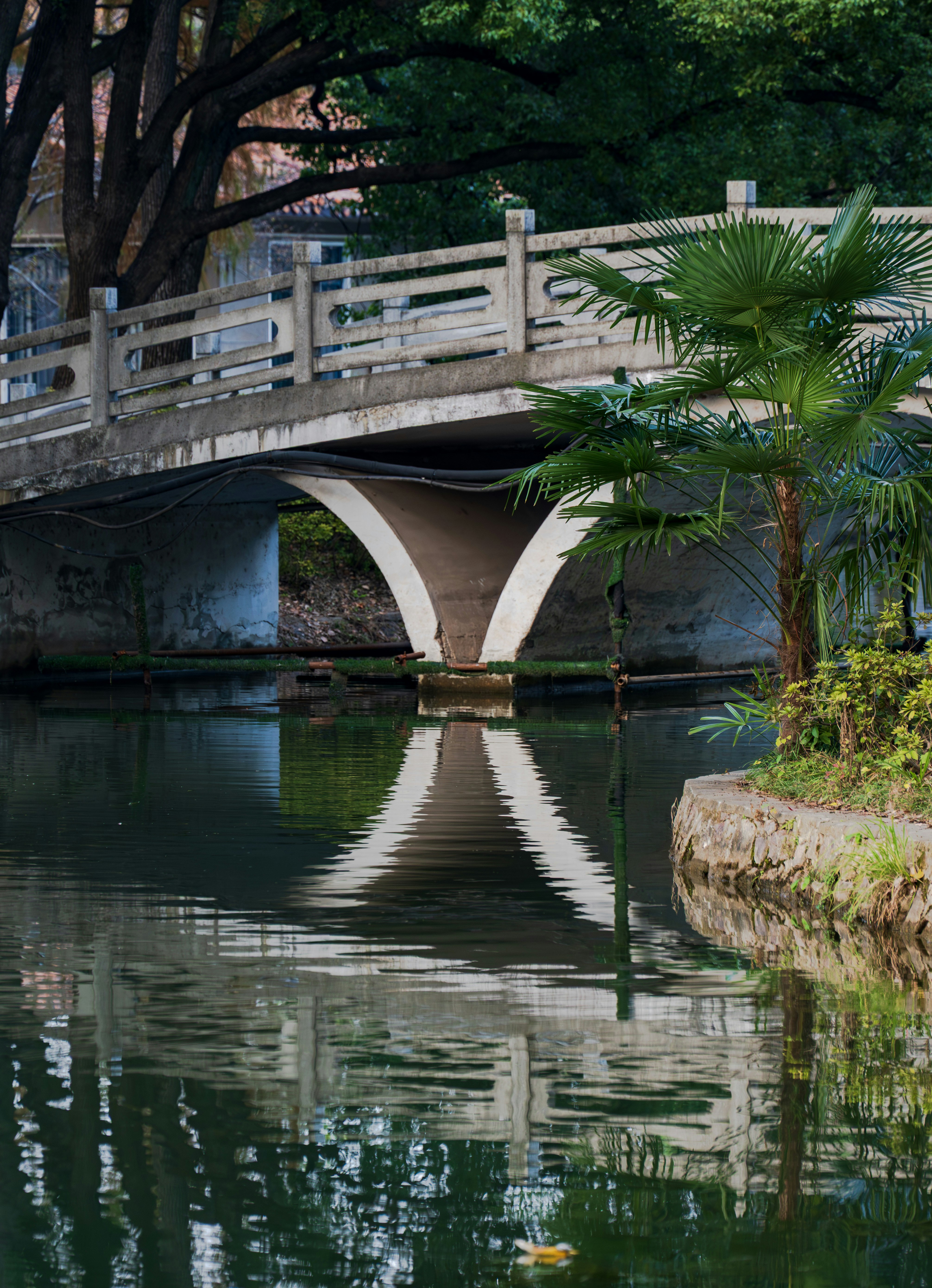 Photo by excellentcx