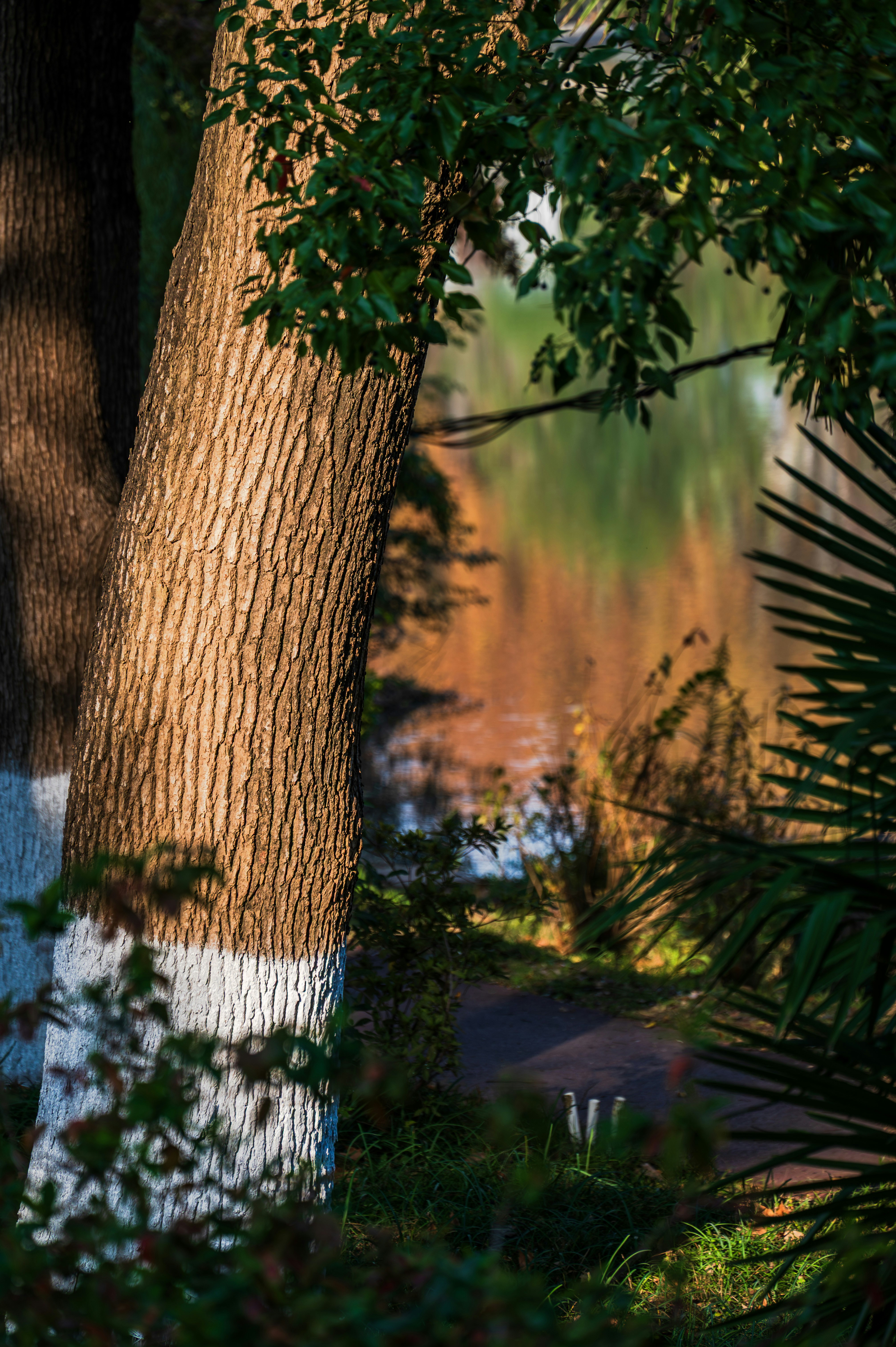 Photo by excellentcx