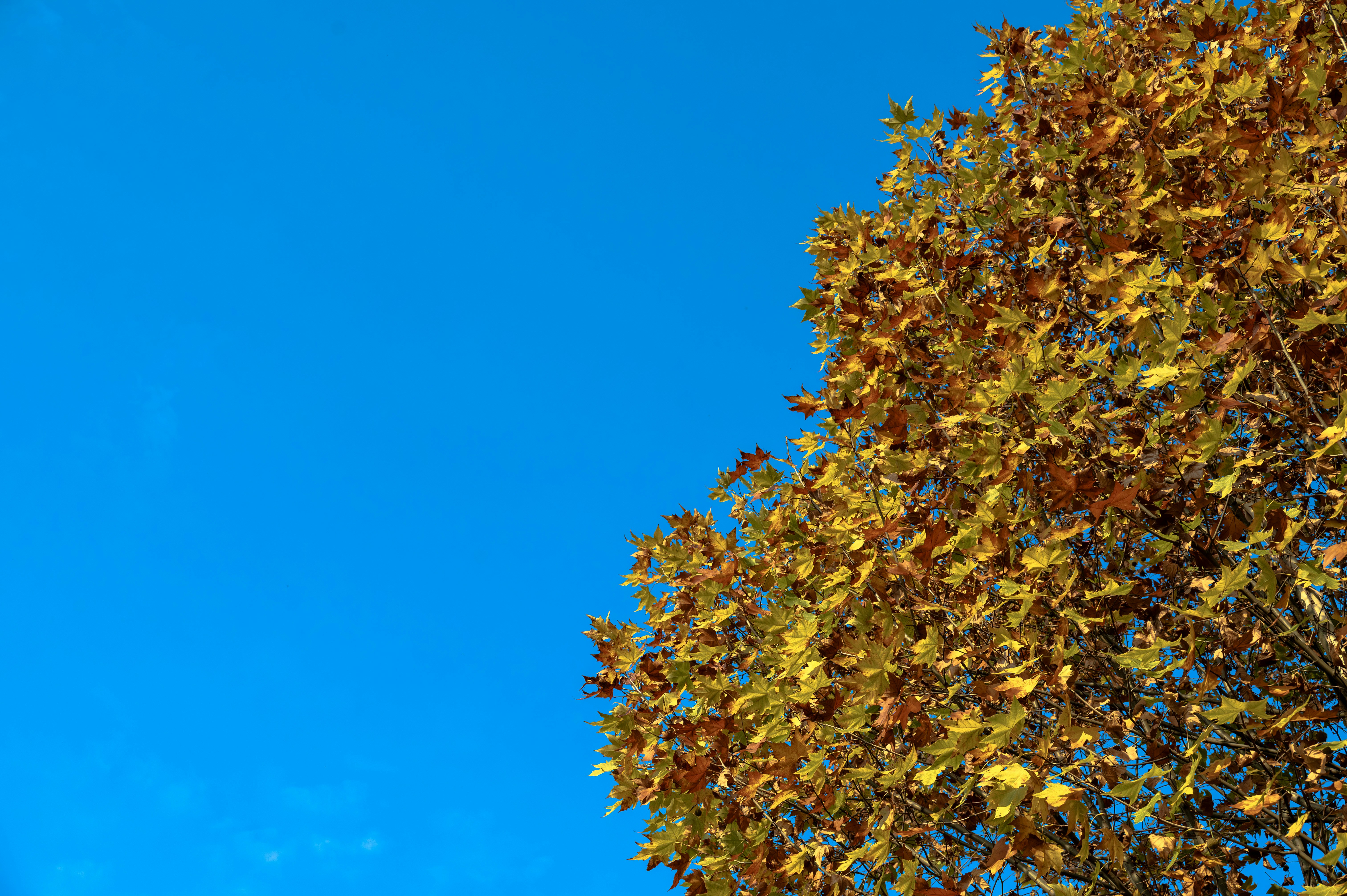 Photo by excellentcx