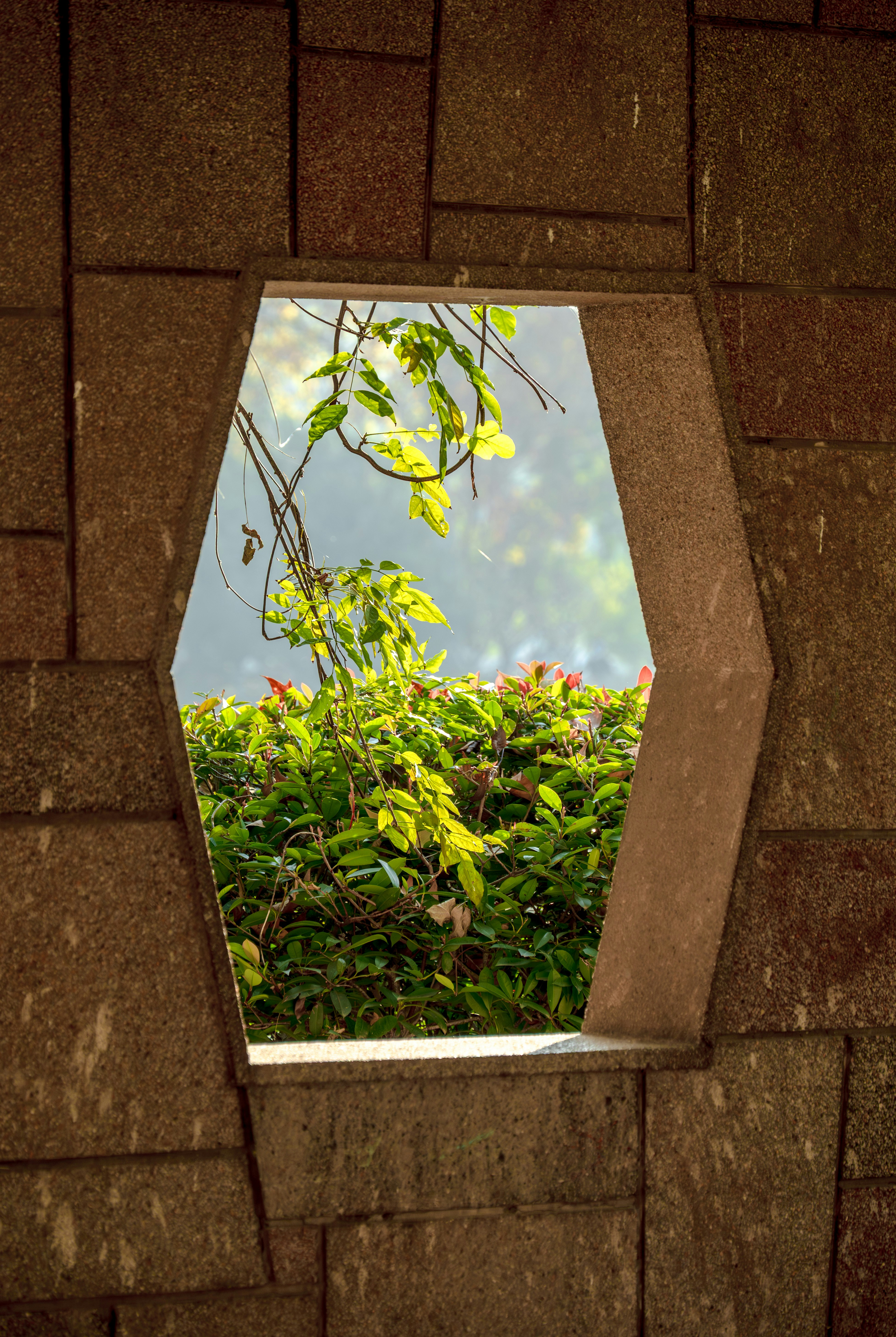 Photo by excellentcx