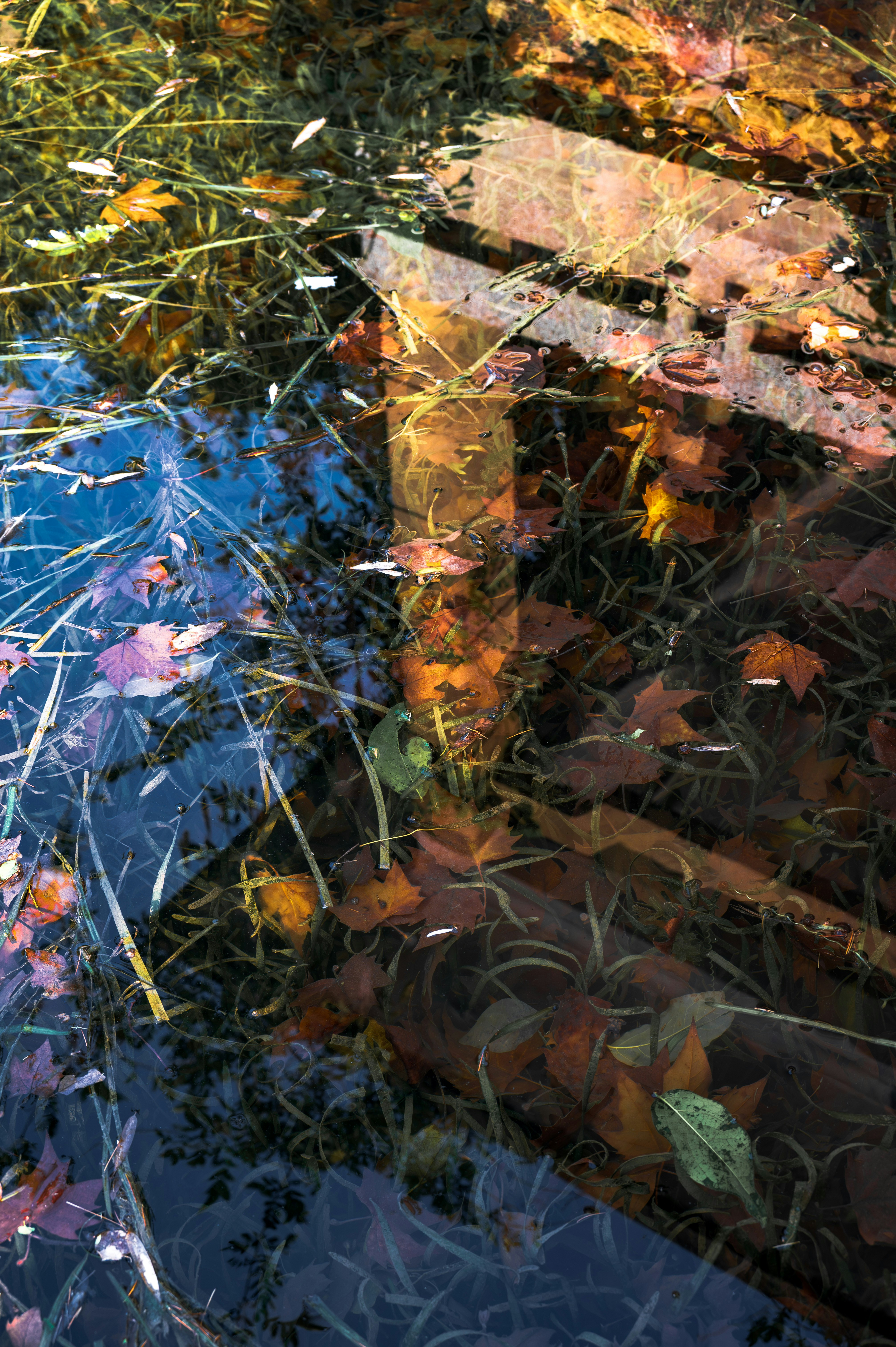 Photo by excellentcx