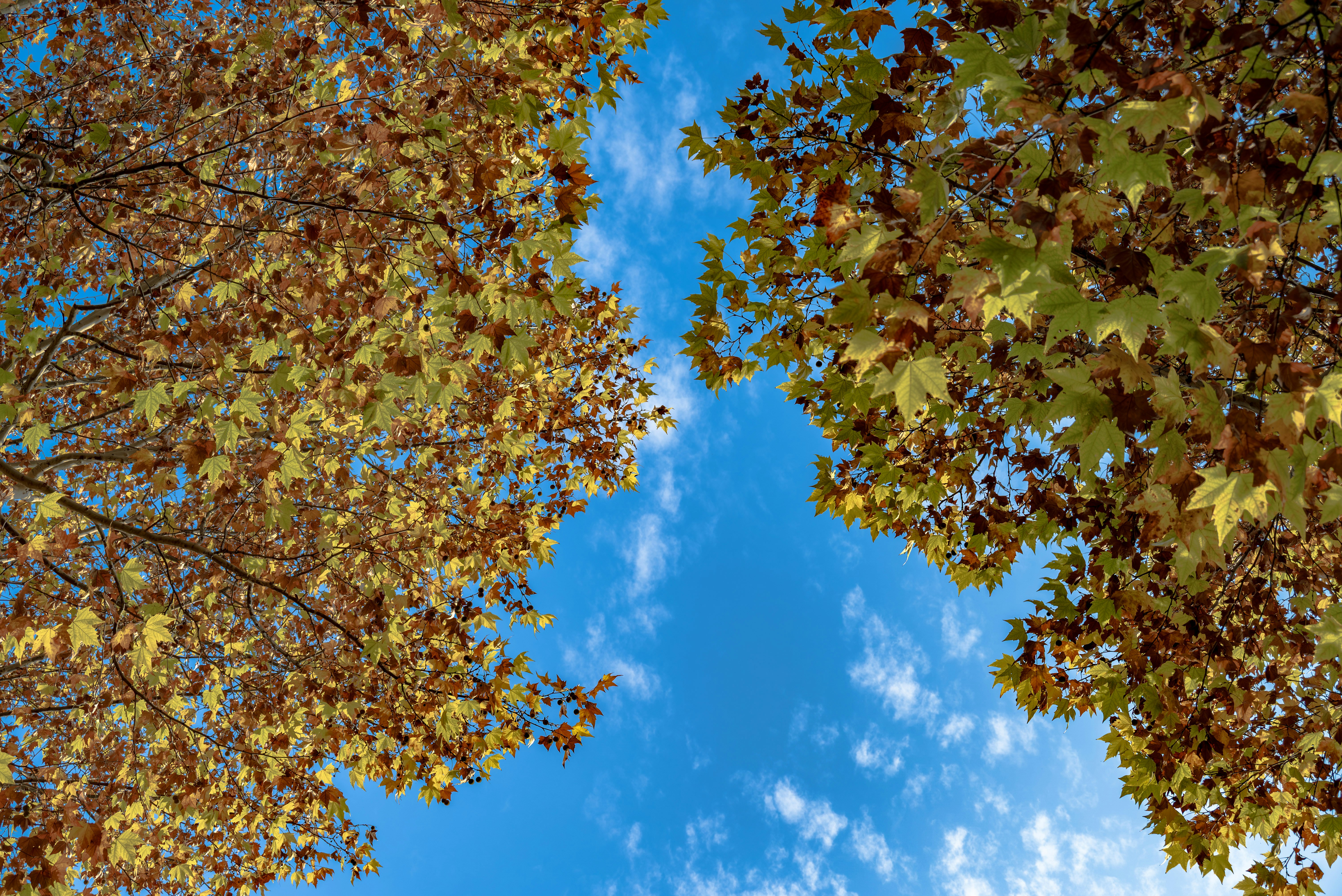 Photo by excellentcx