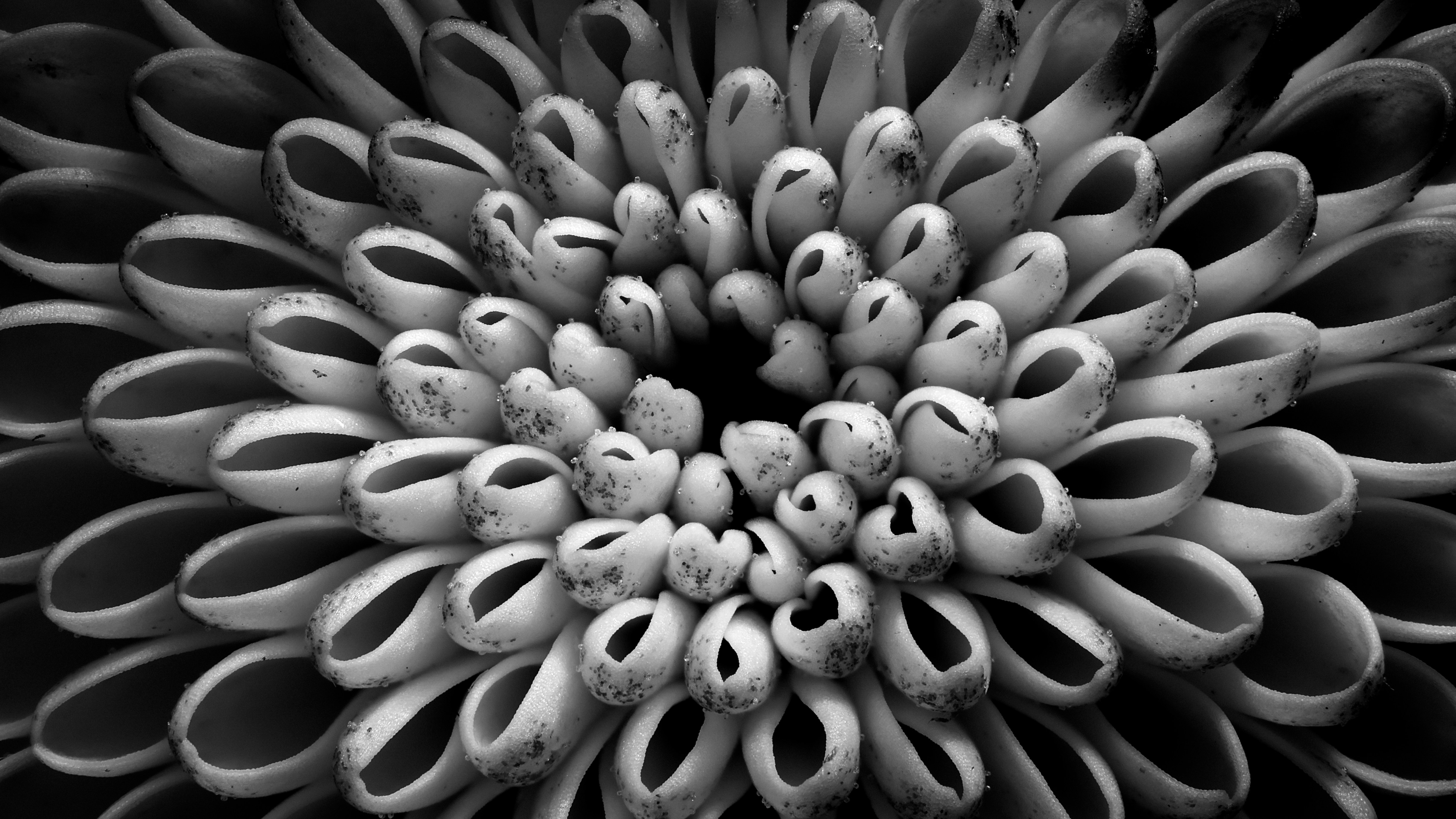 Photo by peterbbryan