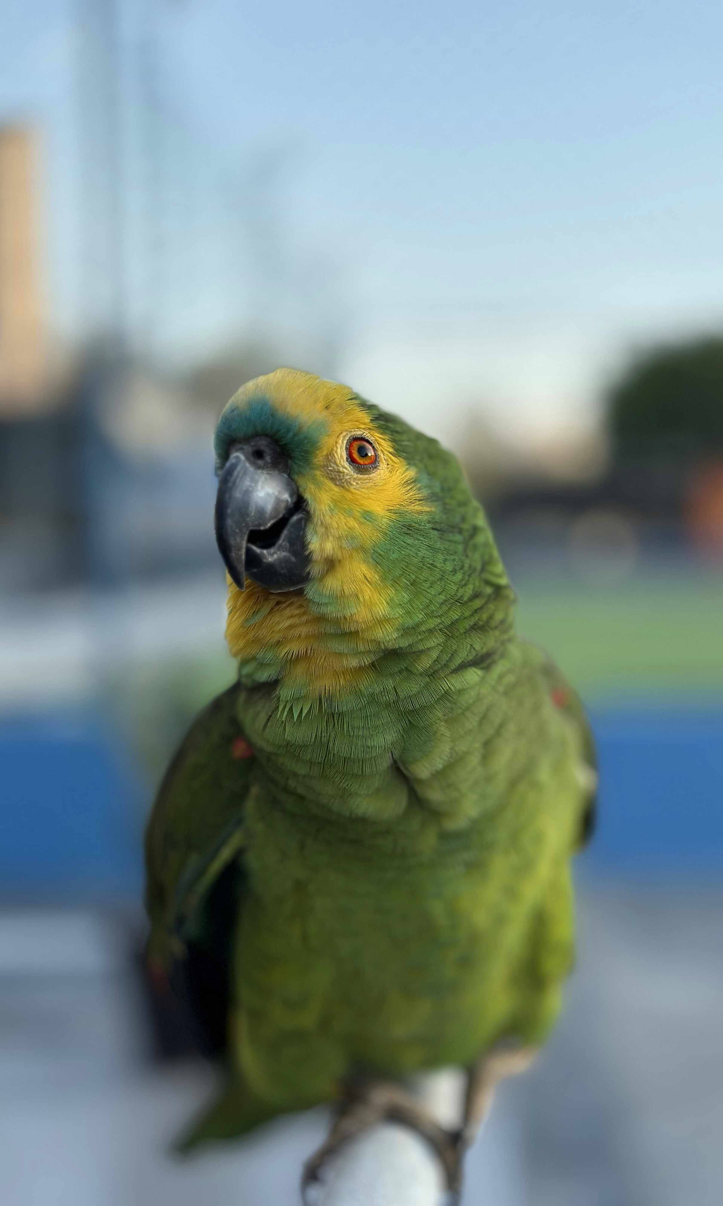 Photo by silvana_carlos