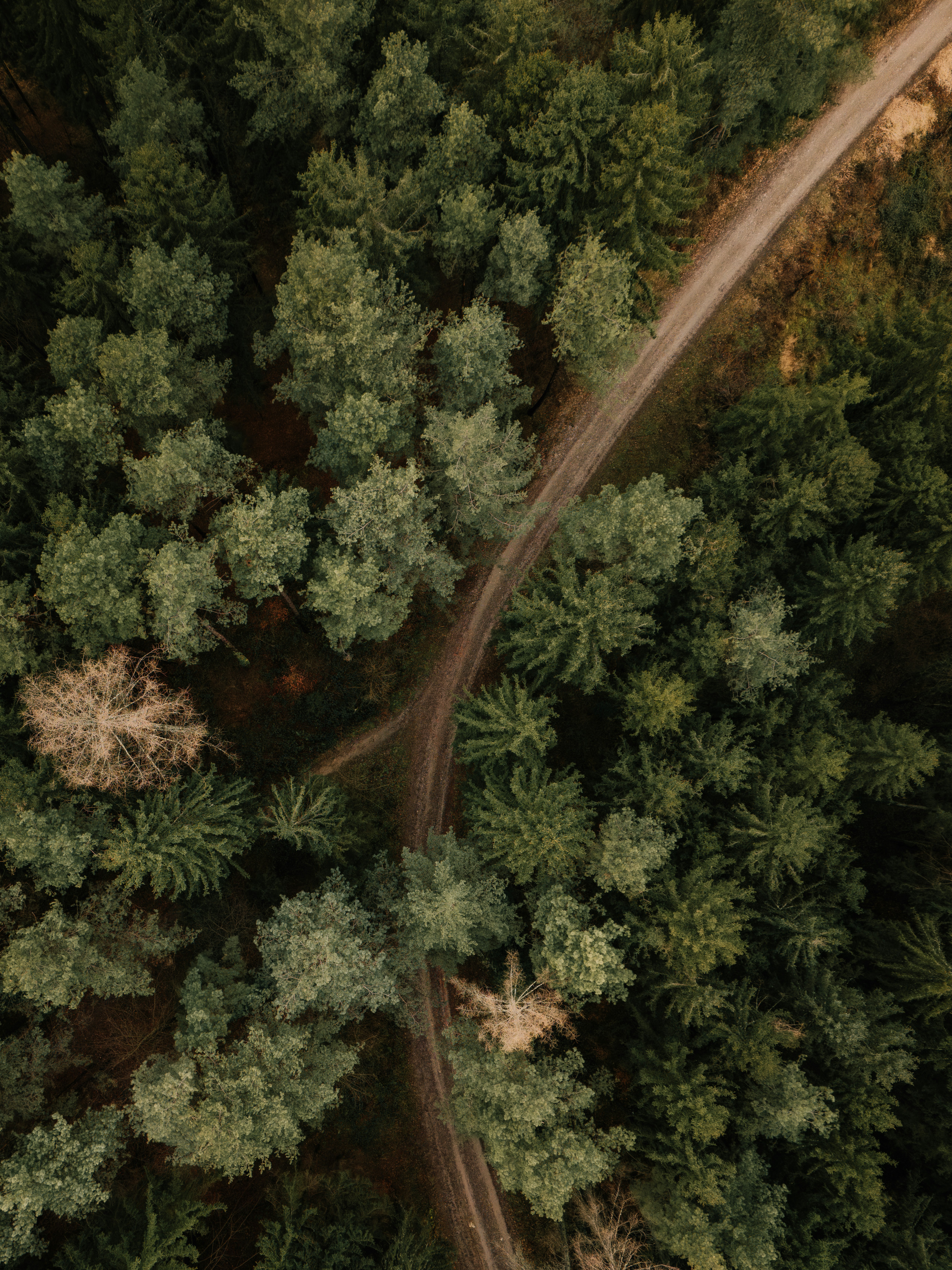 Photo by ahmetyuksek