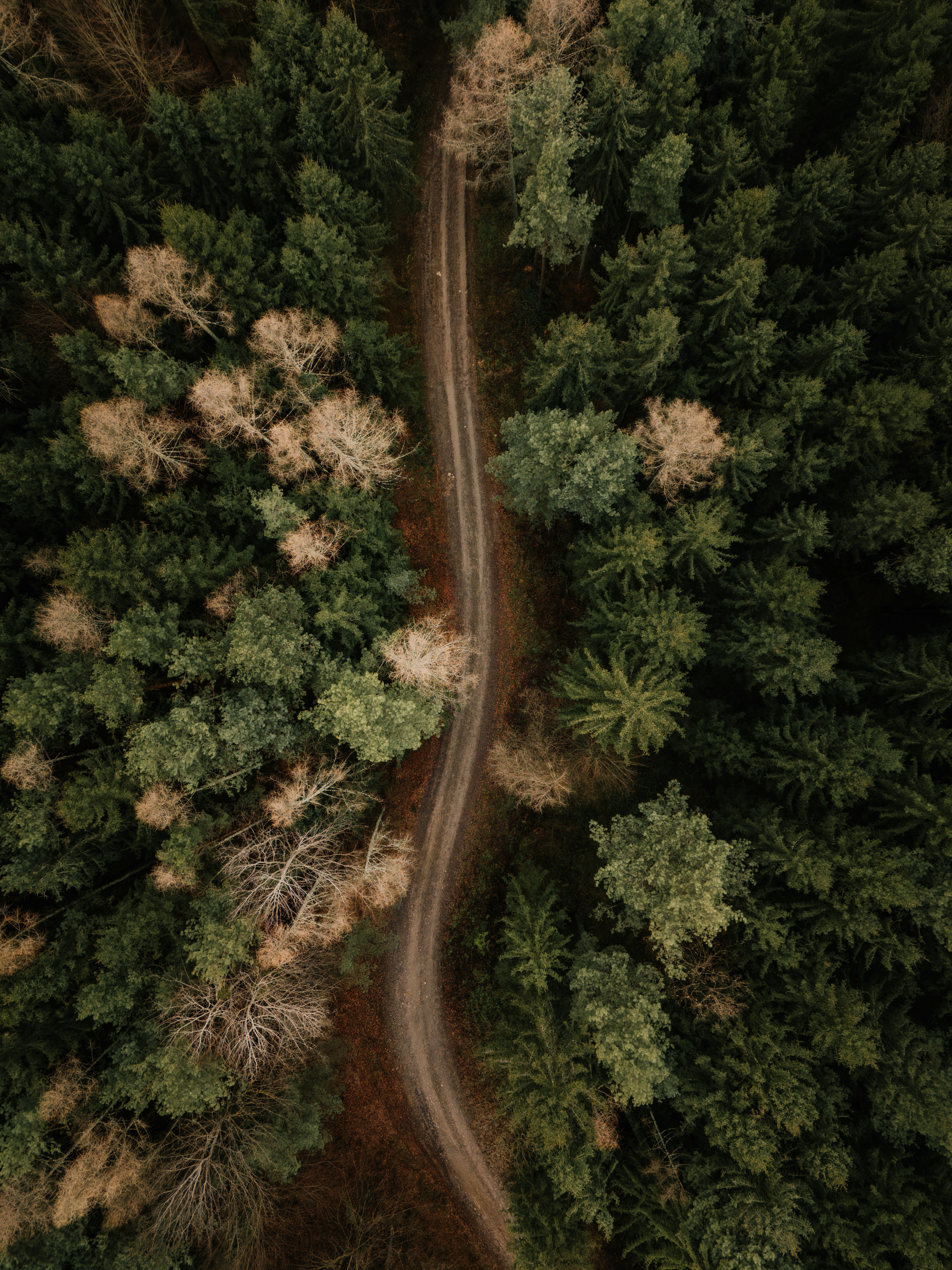 Photo by ahmetyuksek