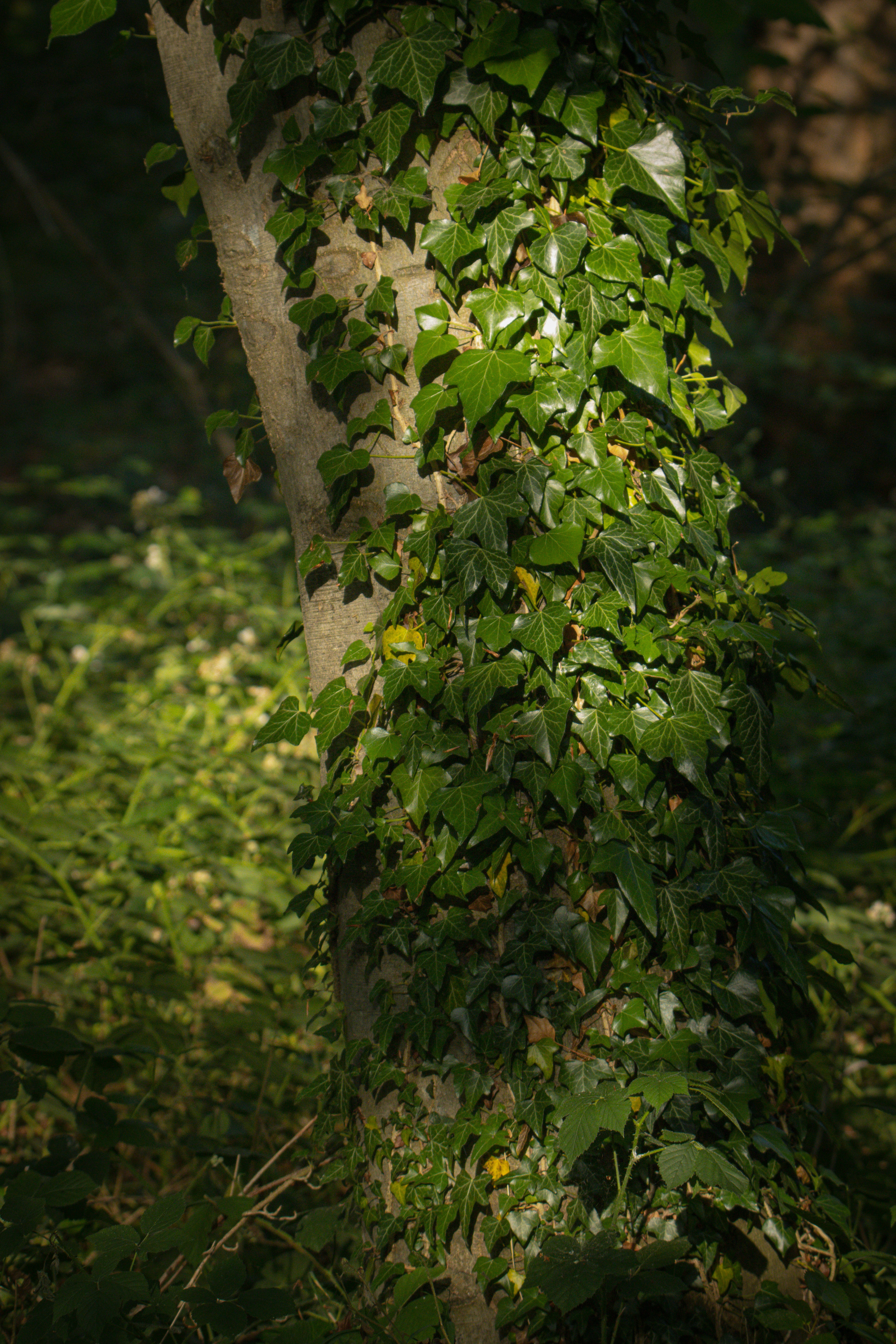 Photo by justinphoto_graphy