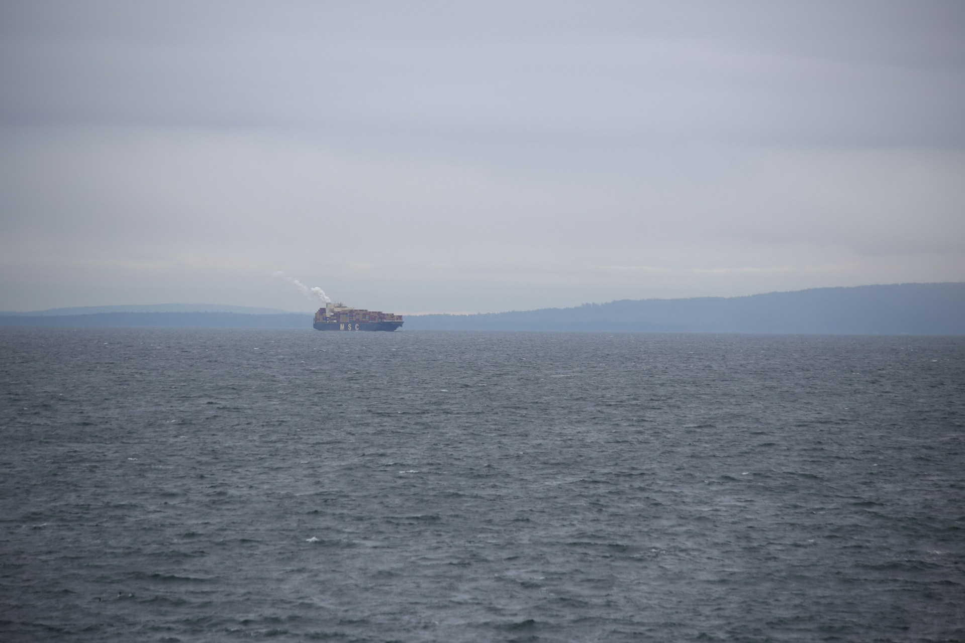 A large cargo ship sails on a calm sea.