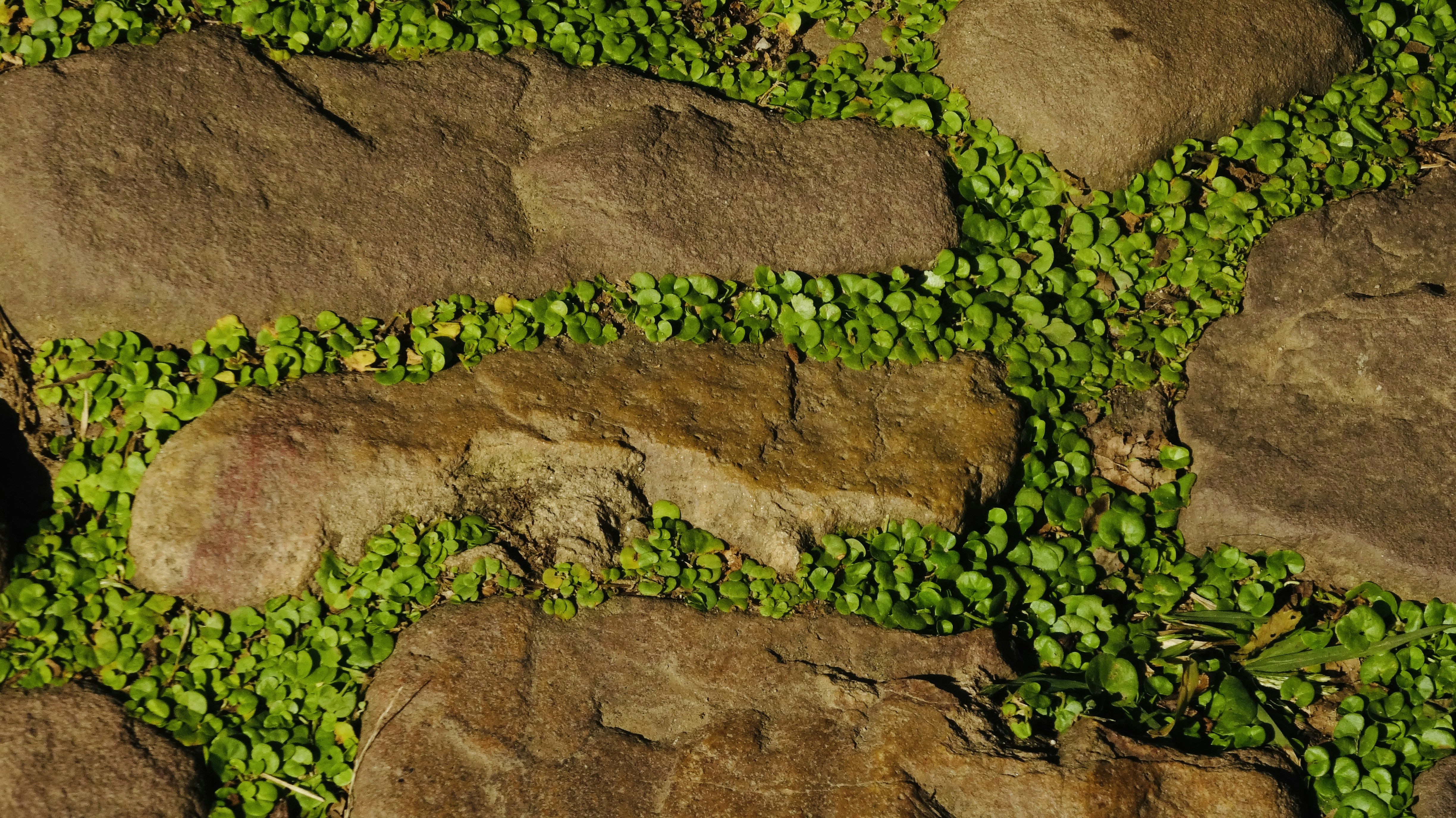 Photo by feifeiliang