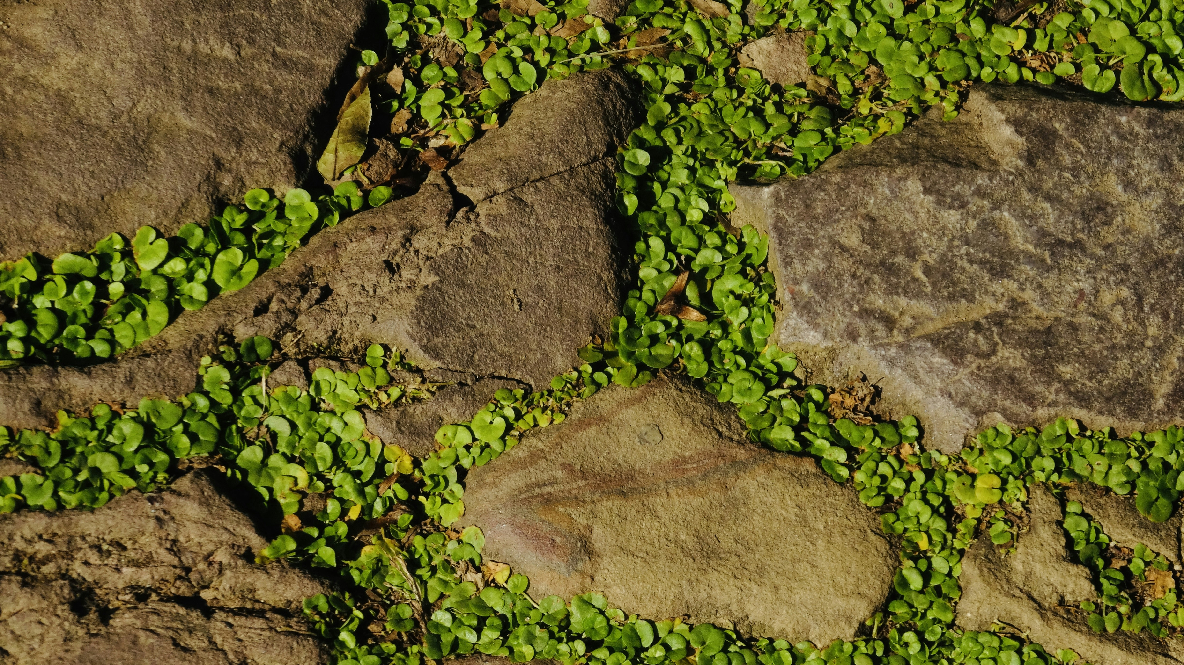 Photo by feifeiliang