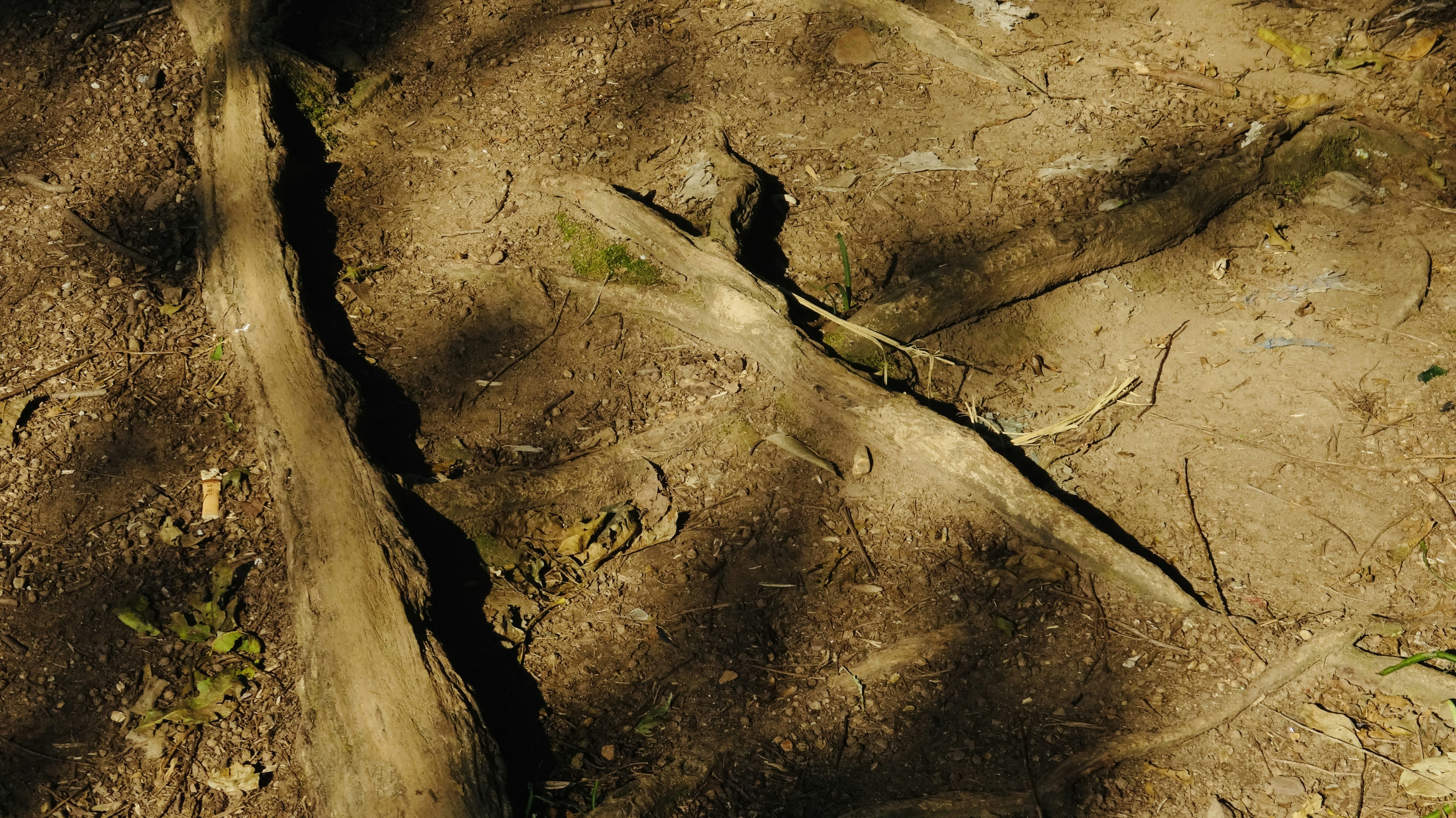 Photo by feifeiliang