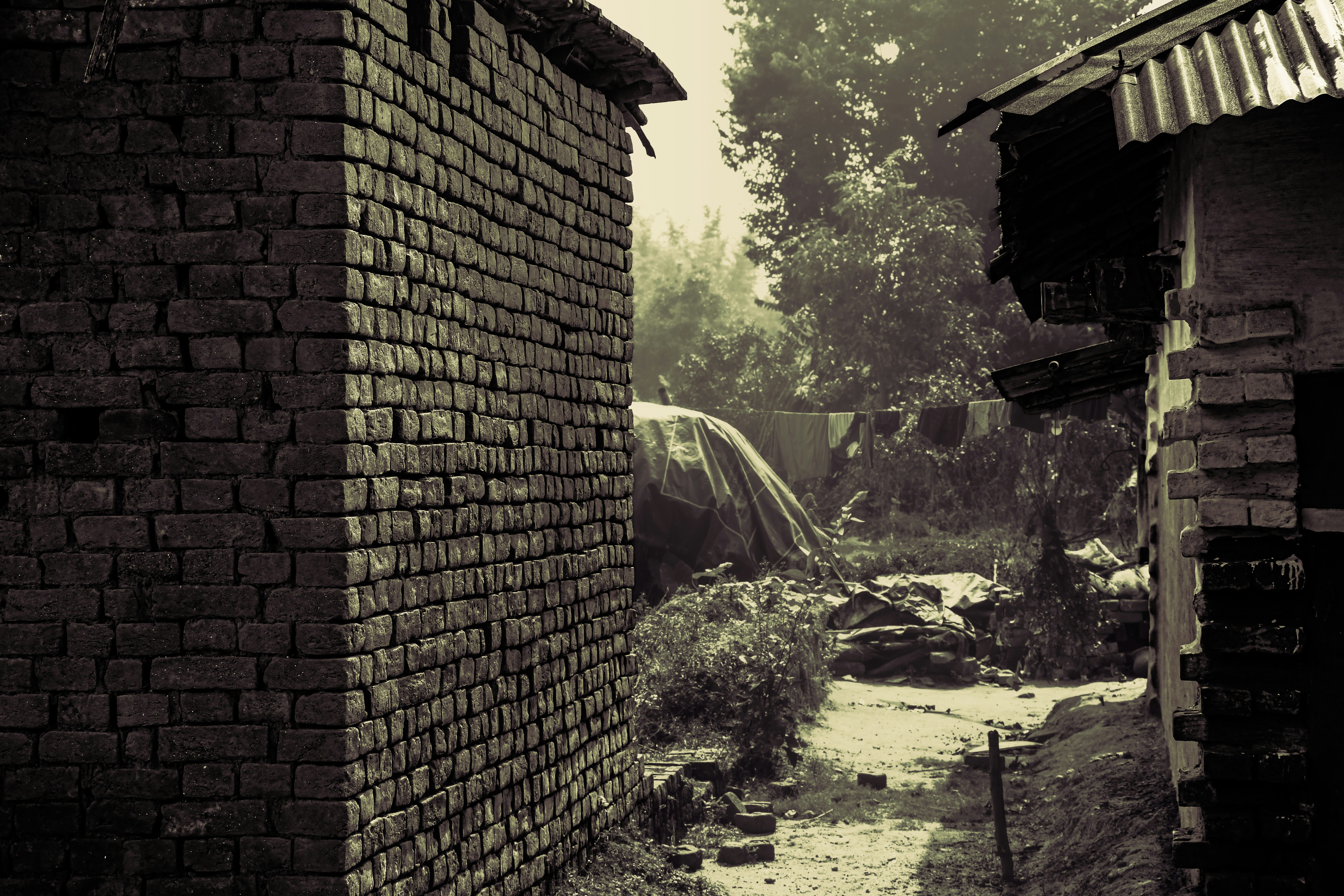 レンガ造りの建物と木々の間の狭い路地。