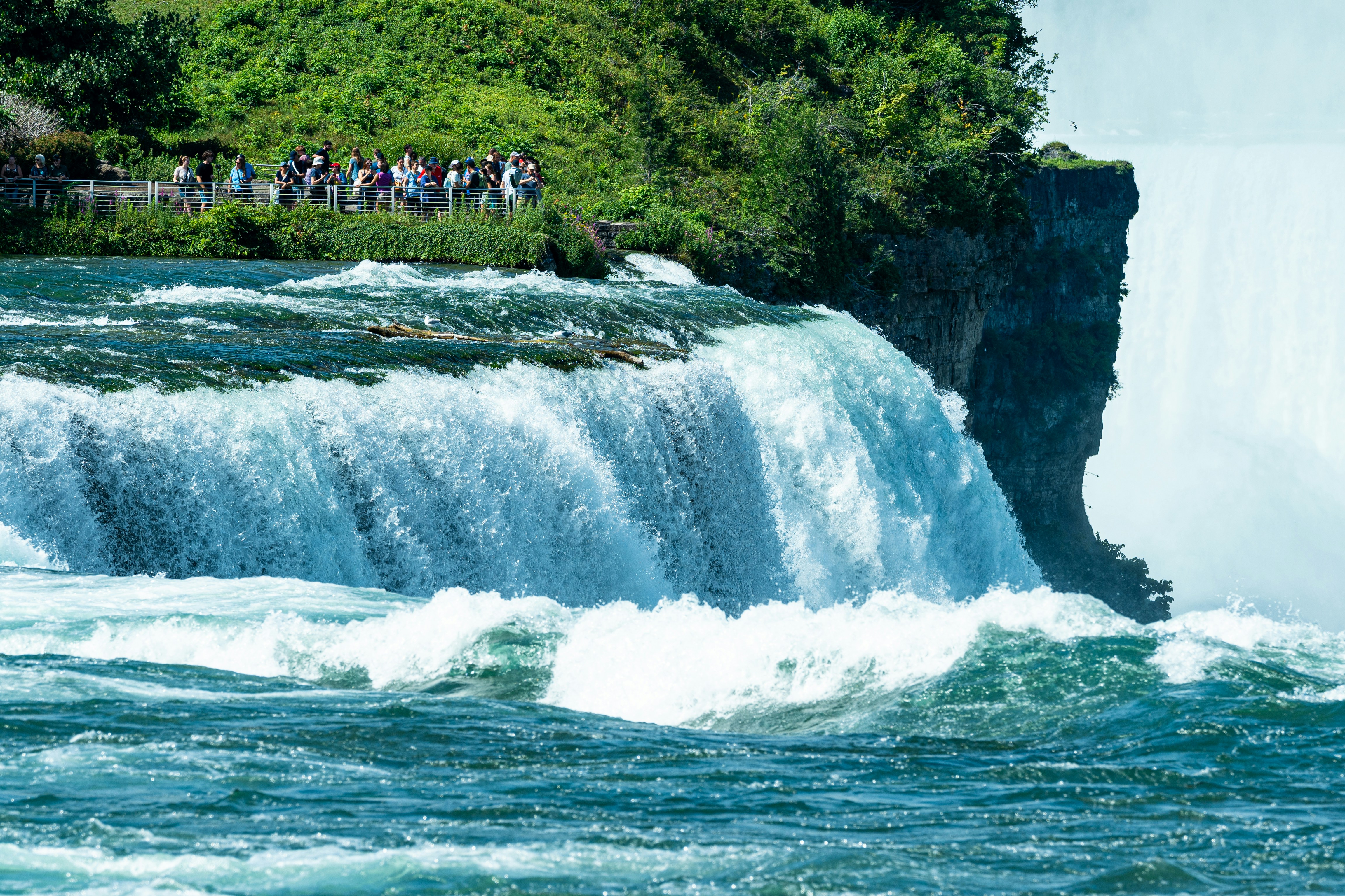 Niagara Gorge Trail photo 2