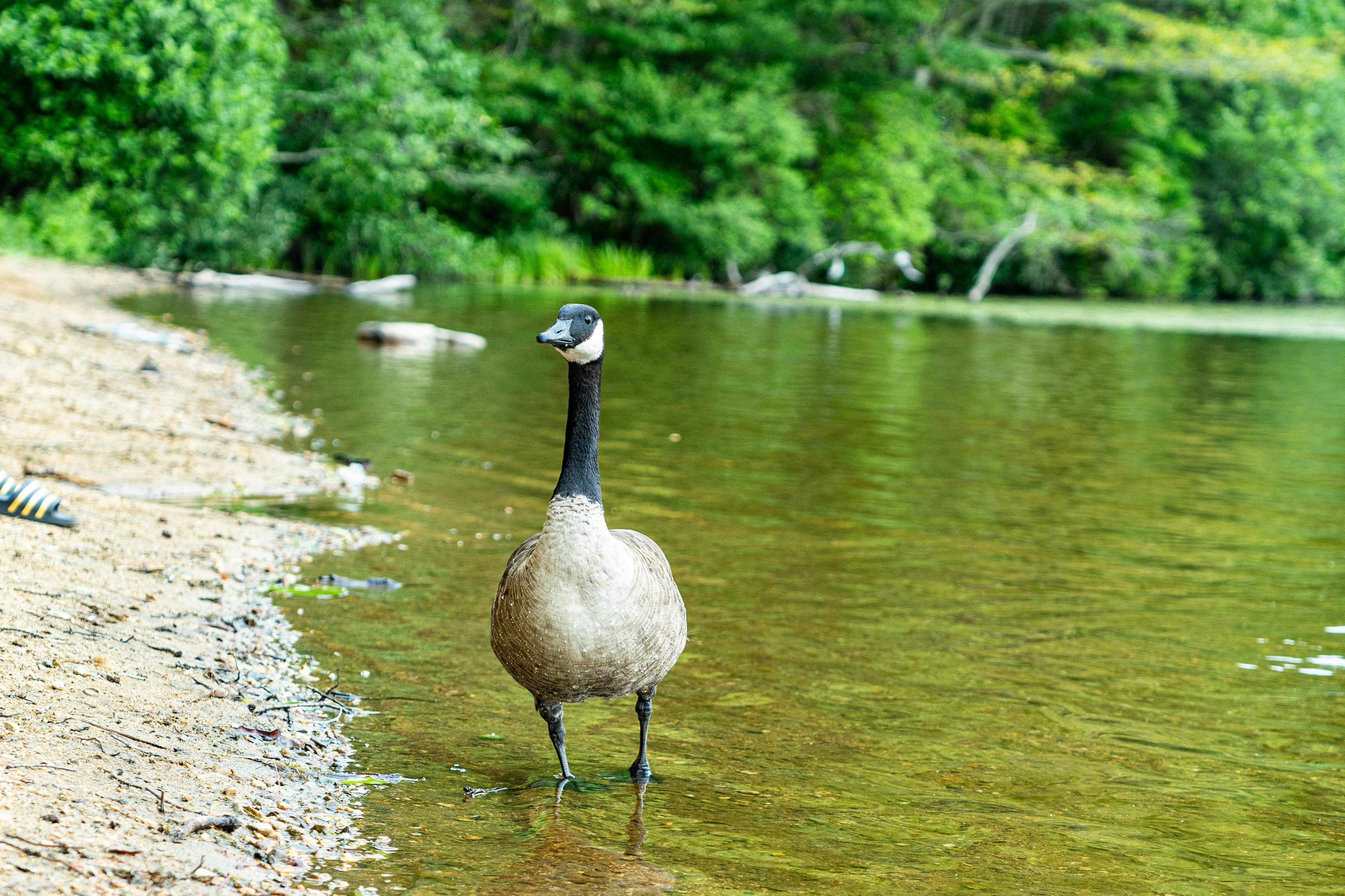 aerosol cans scattered on concrete next to fresh graffiti