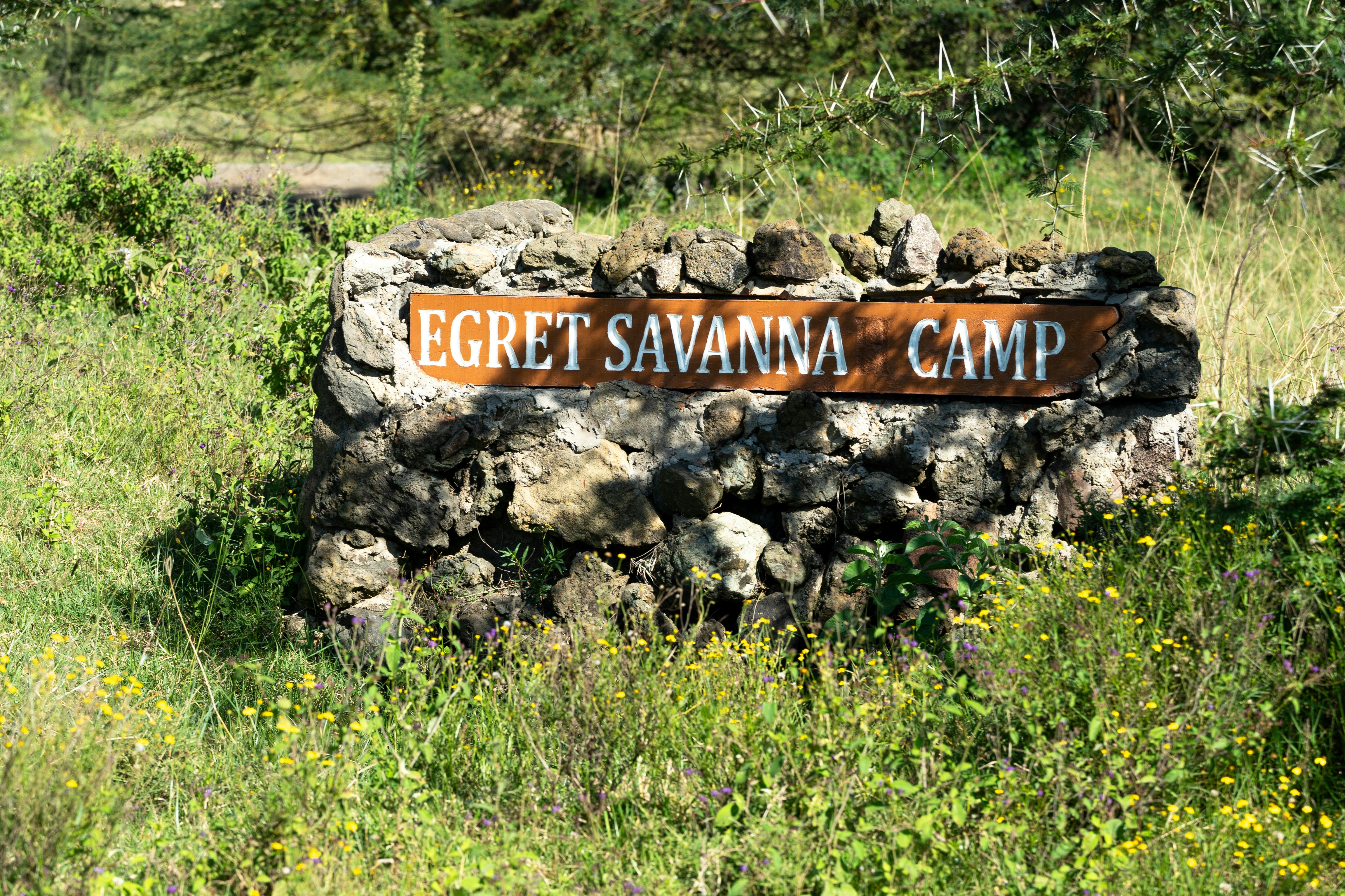 scout camp wallpaper, wallpaper, Sejarah Kepramukaan Indonesia dan Dunia 6