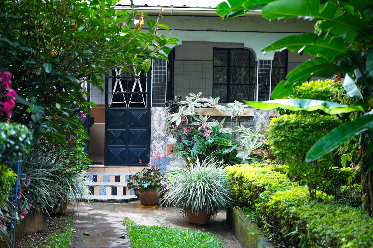 Front Yard Curb Appeal landscape design preview