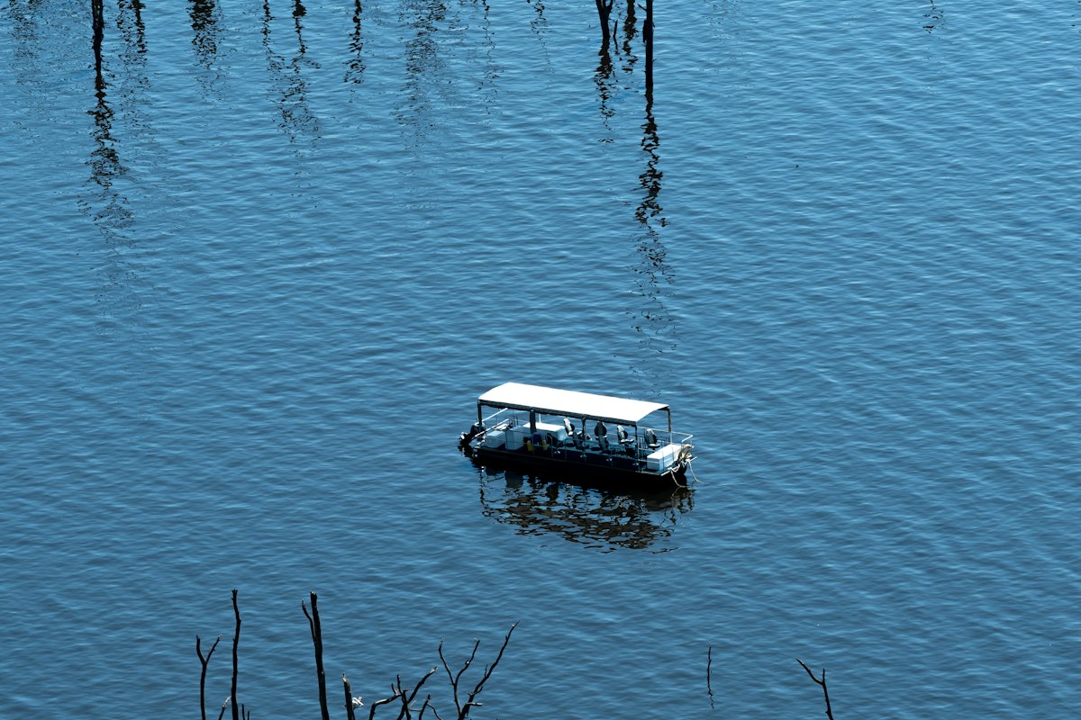 A pontoon boat on a calm lake