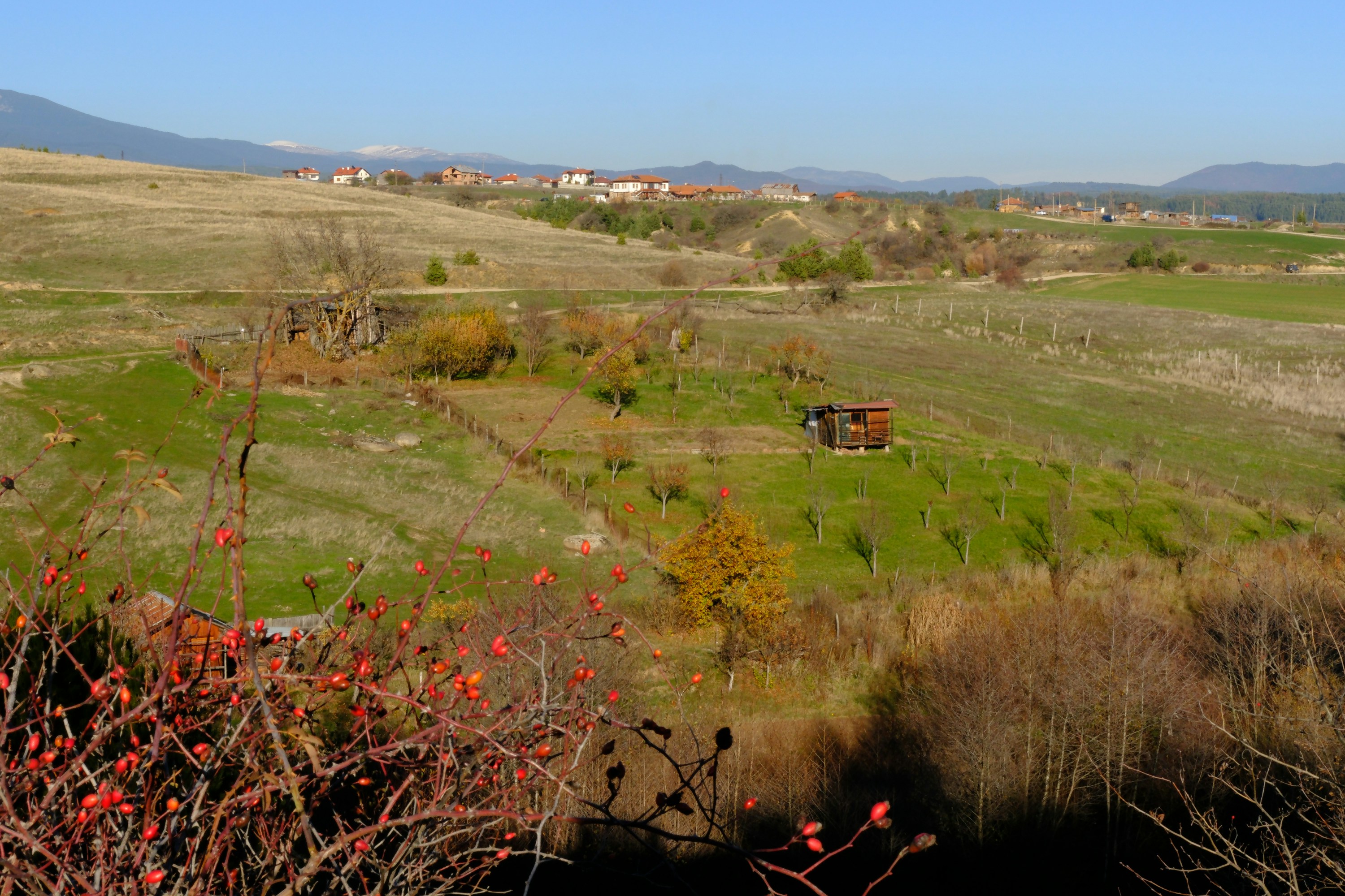 Photo by elenadoncheva