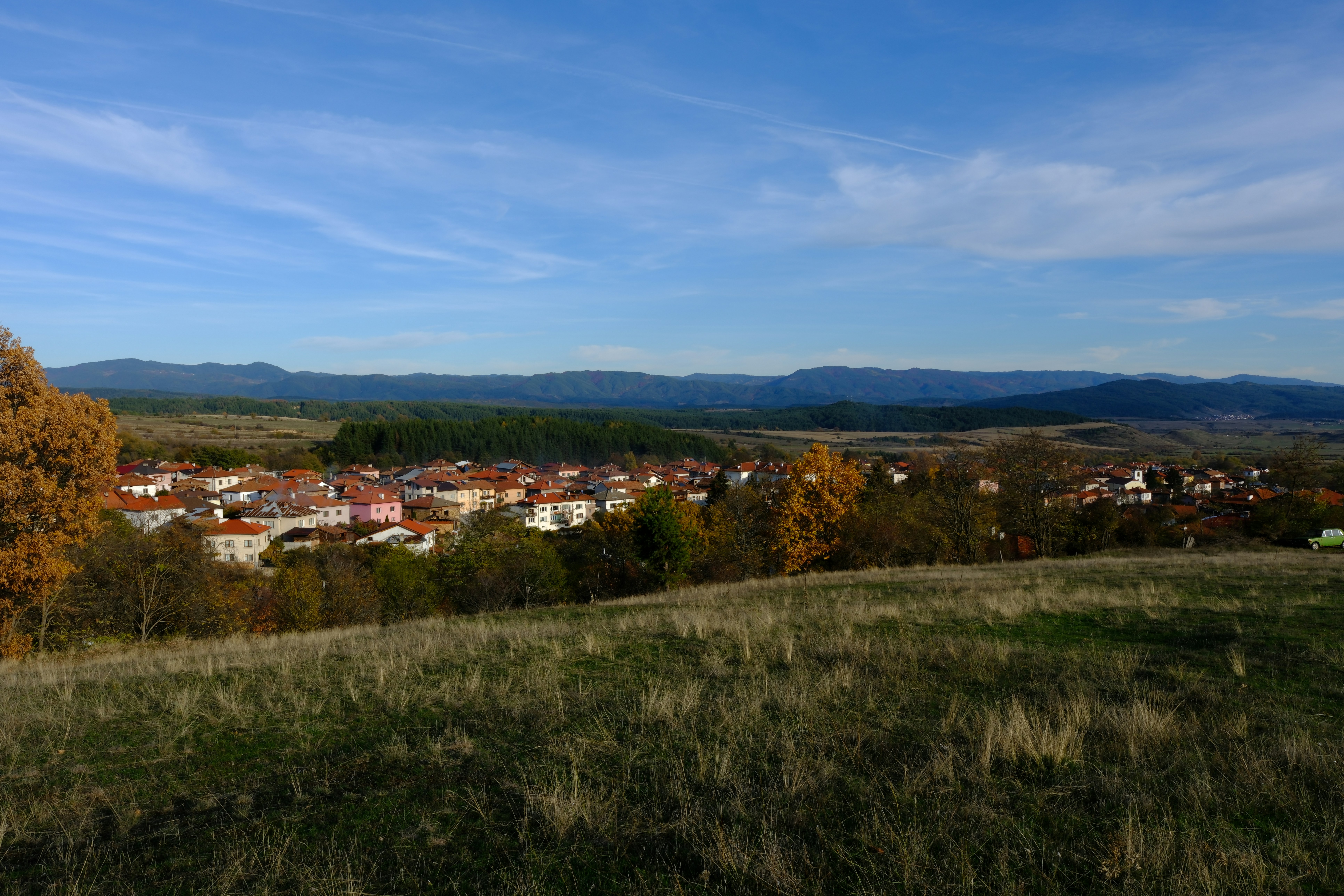 Village nestled among trees with distant mountains
