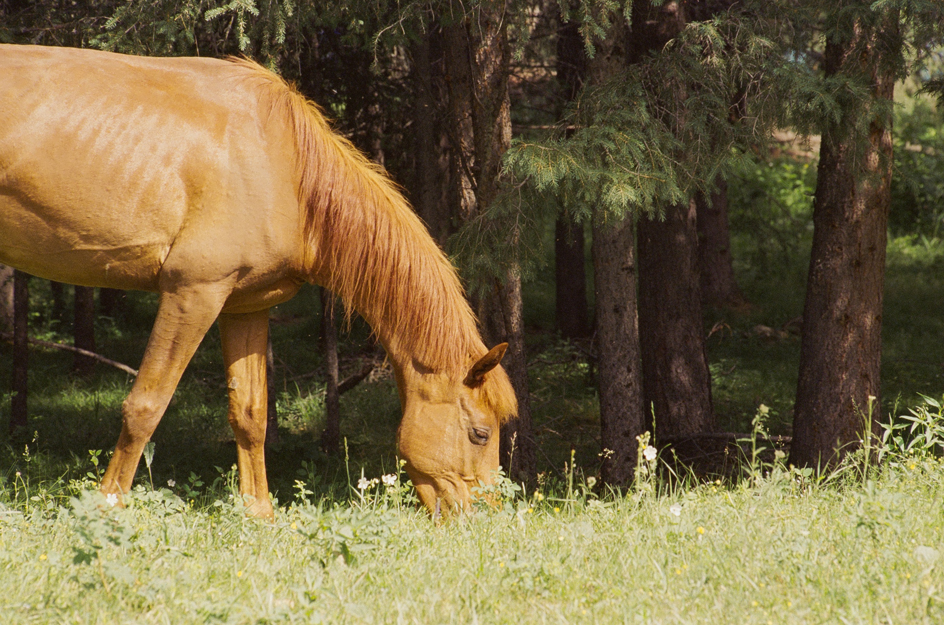 Photo by austin_7792