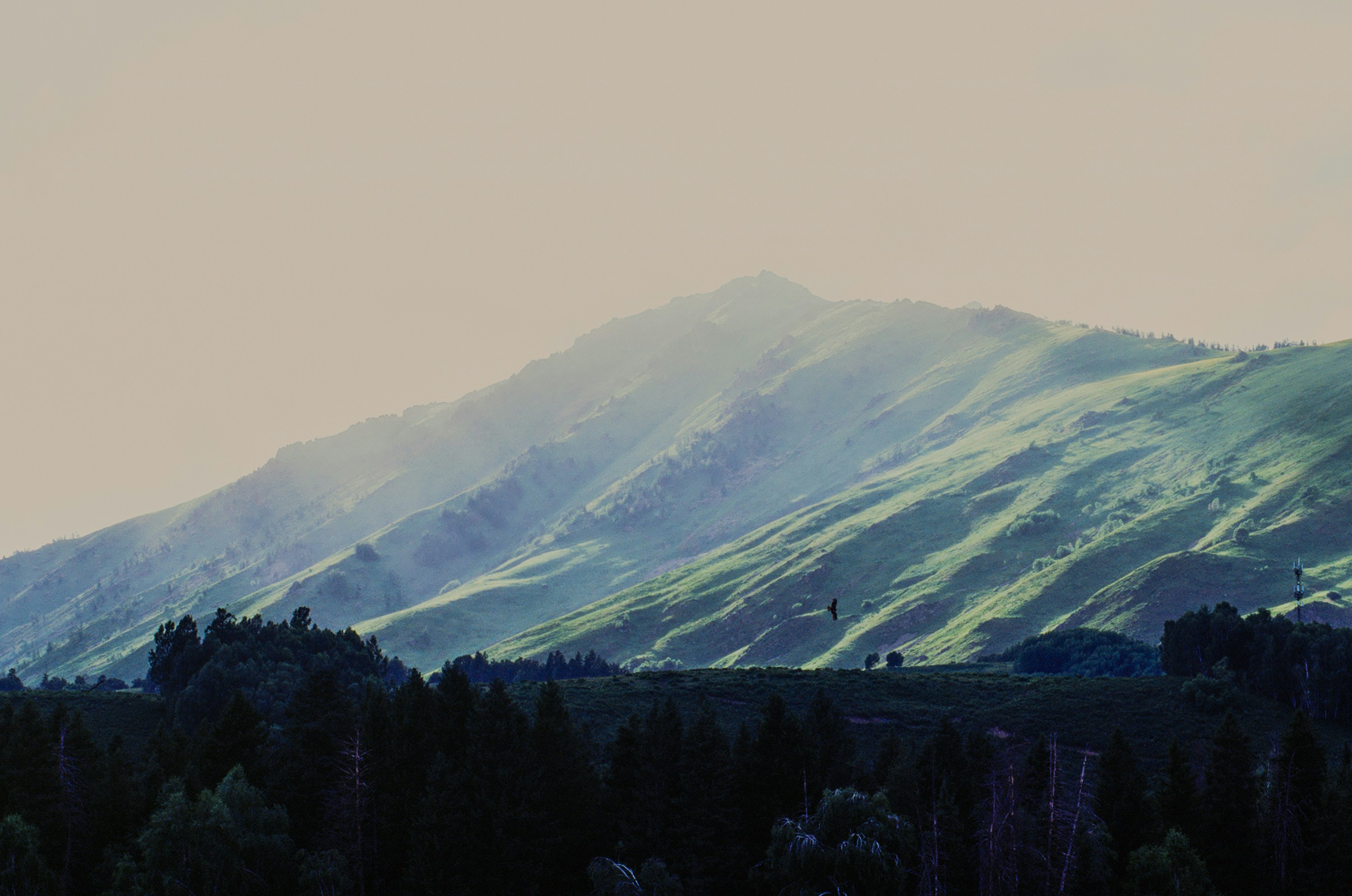 Photo by austin_7792