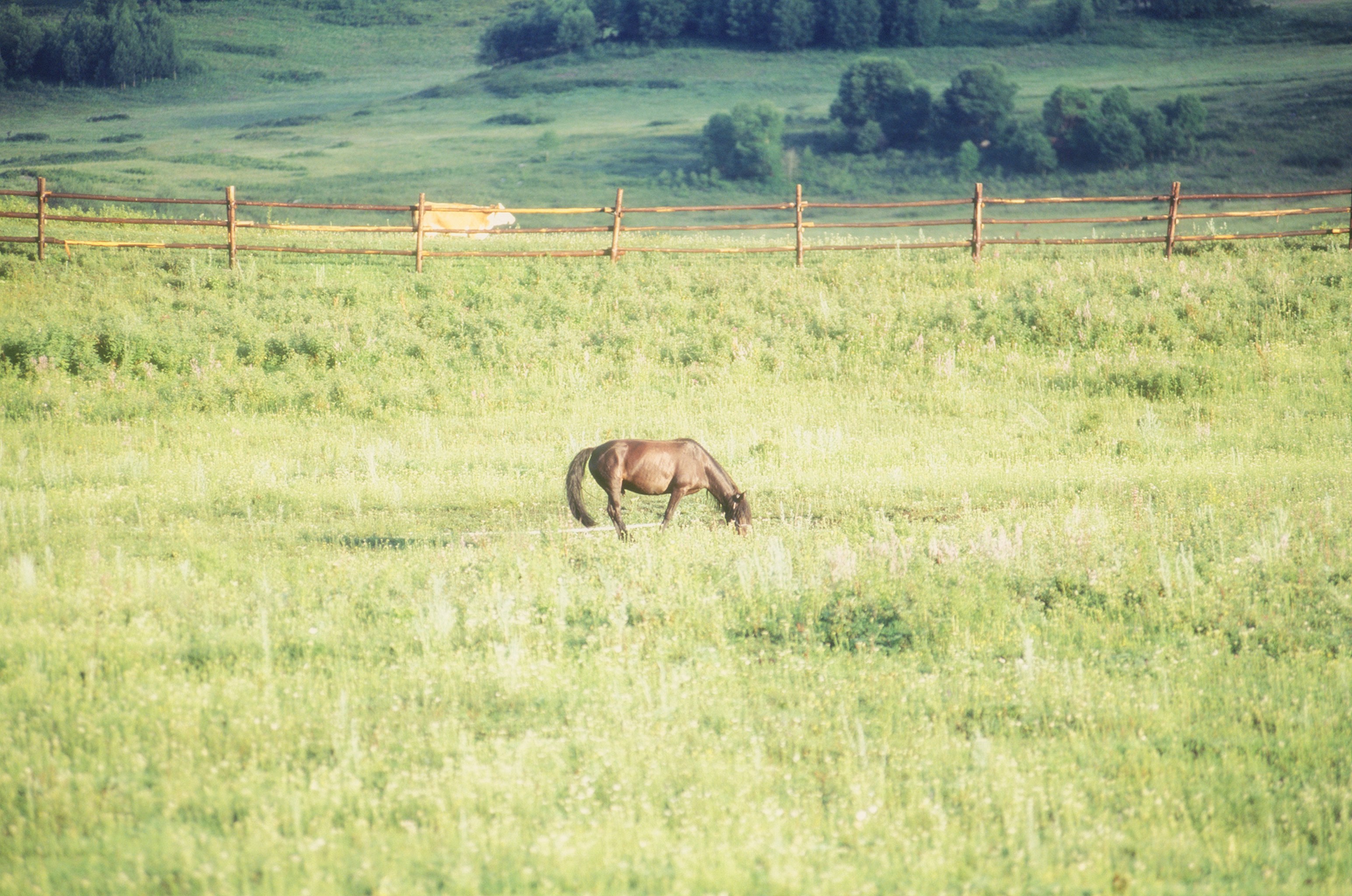 Photo by austin_7792