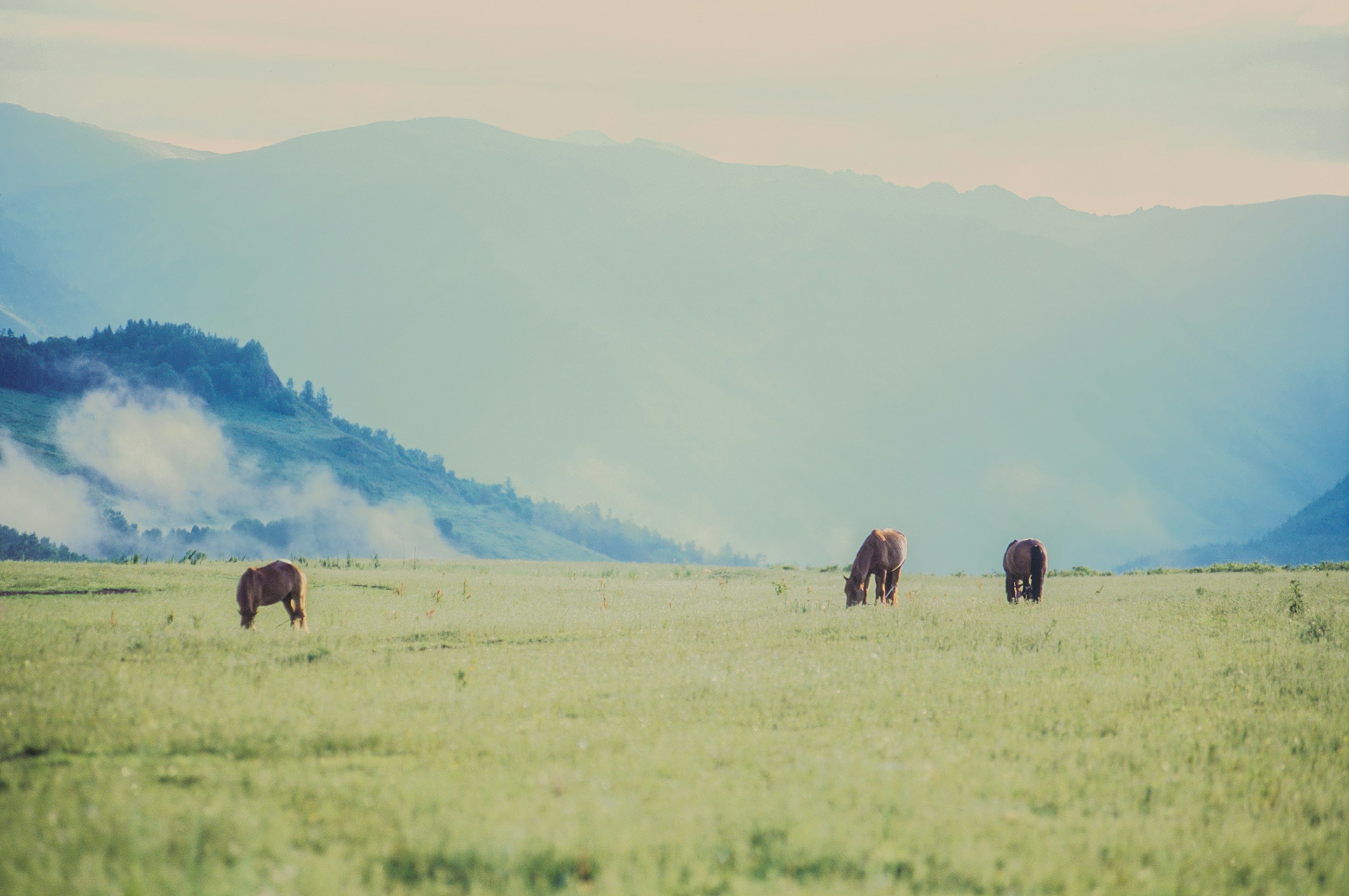 Photo by austin_7792