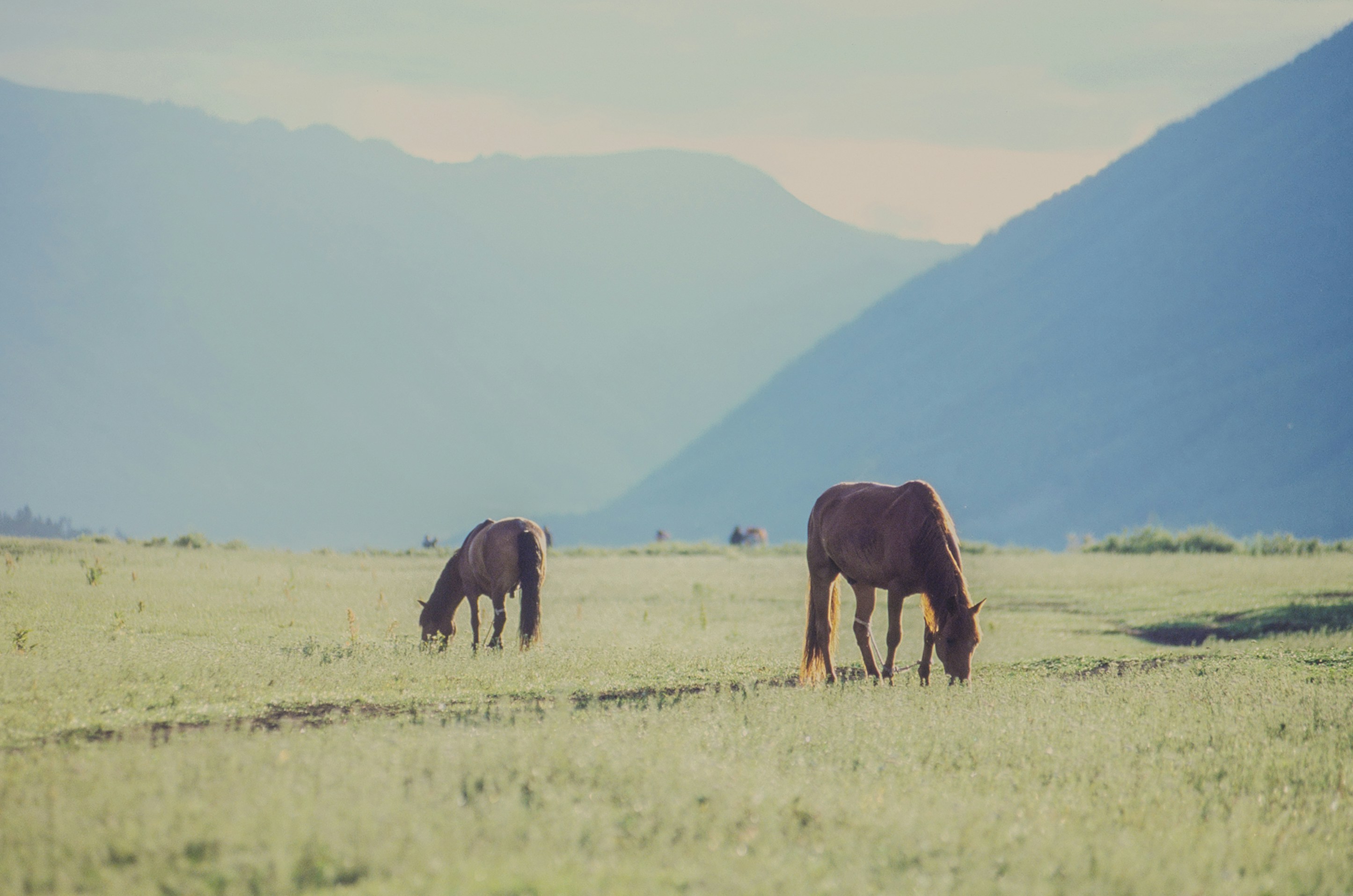 Photo by austin_7792