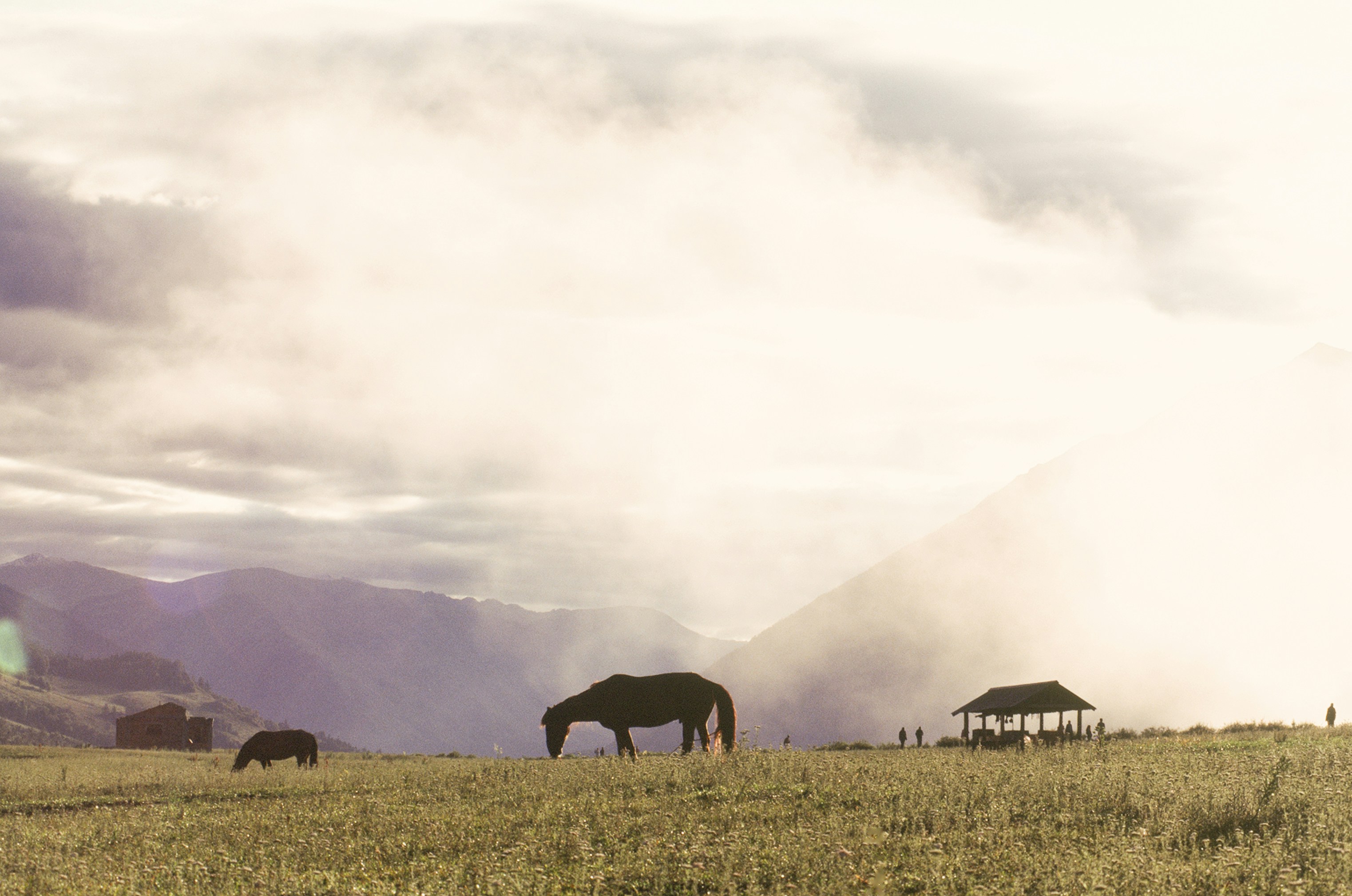 Photo by austin_7792