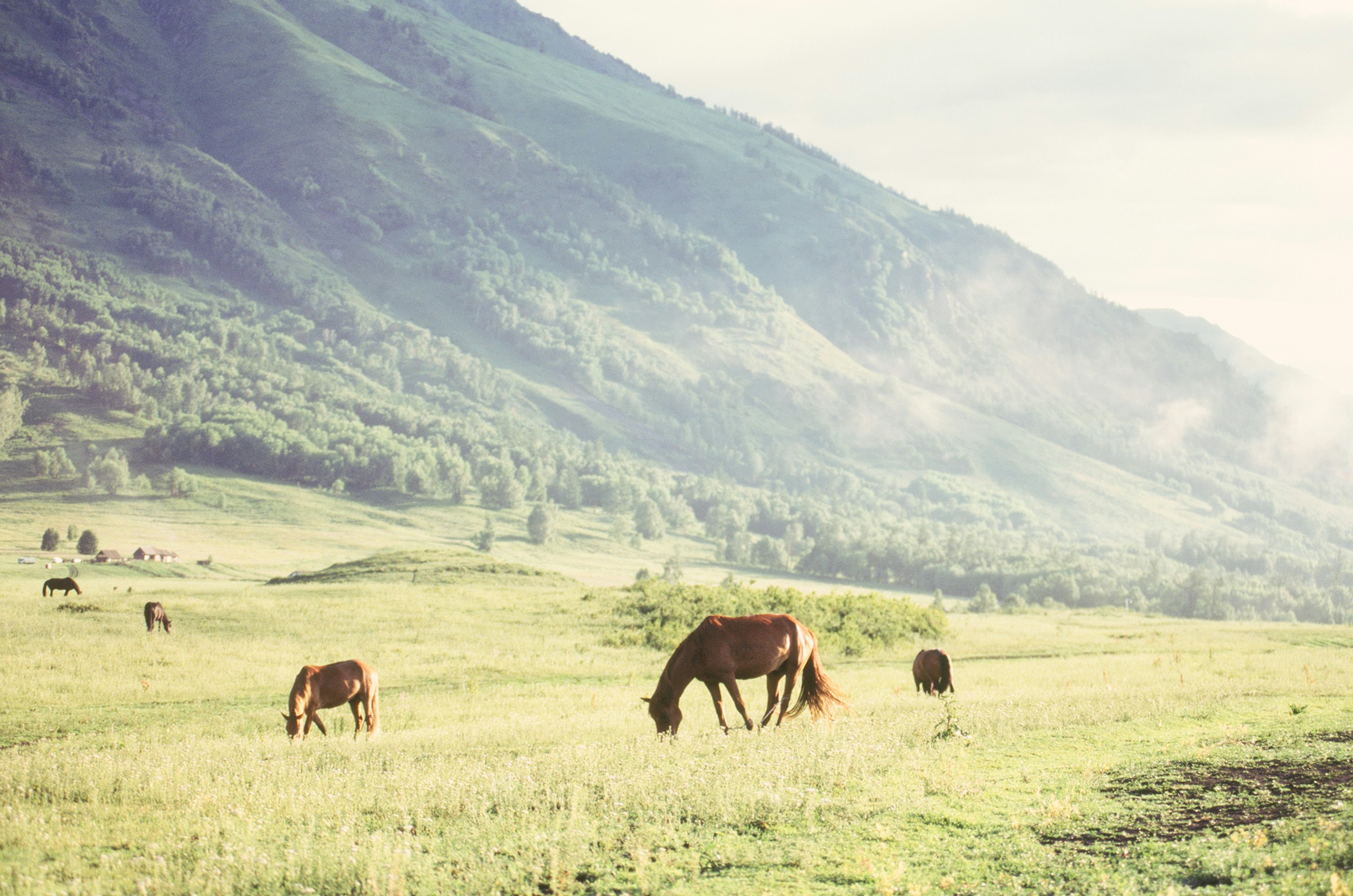 Photo by austin_7792