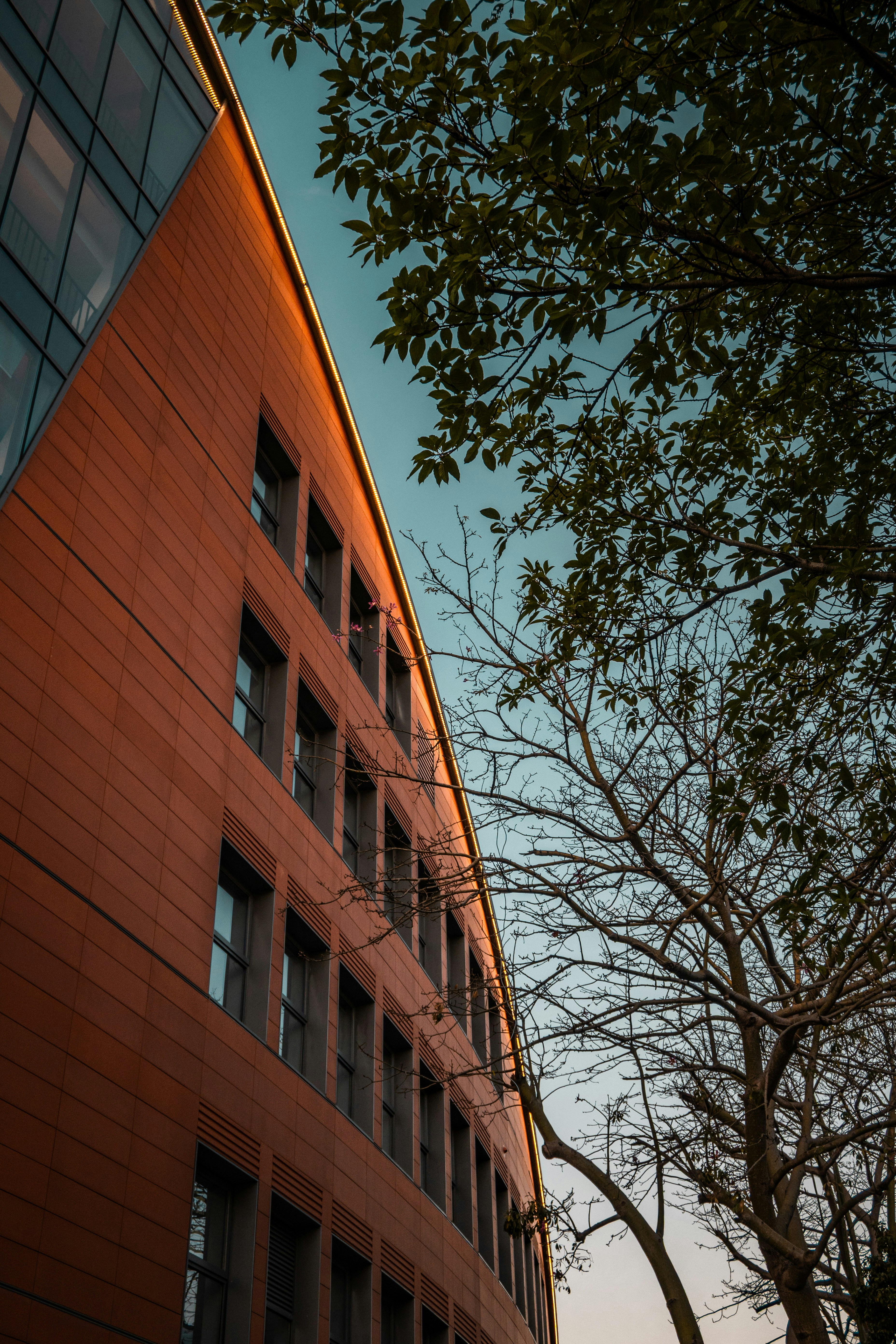 Photo by 1989folklore