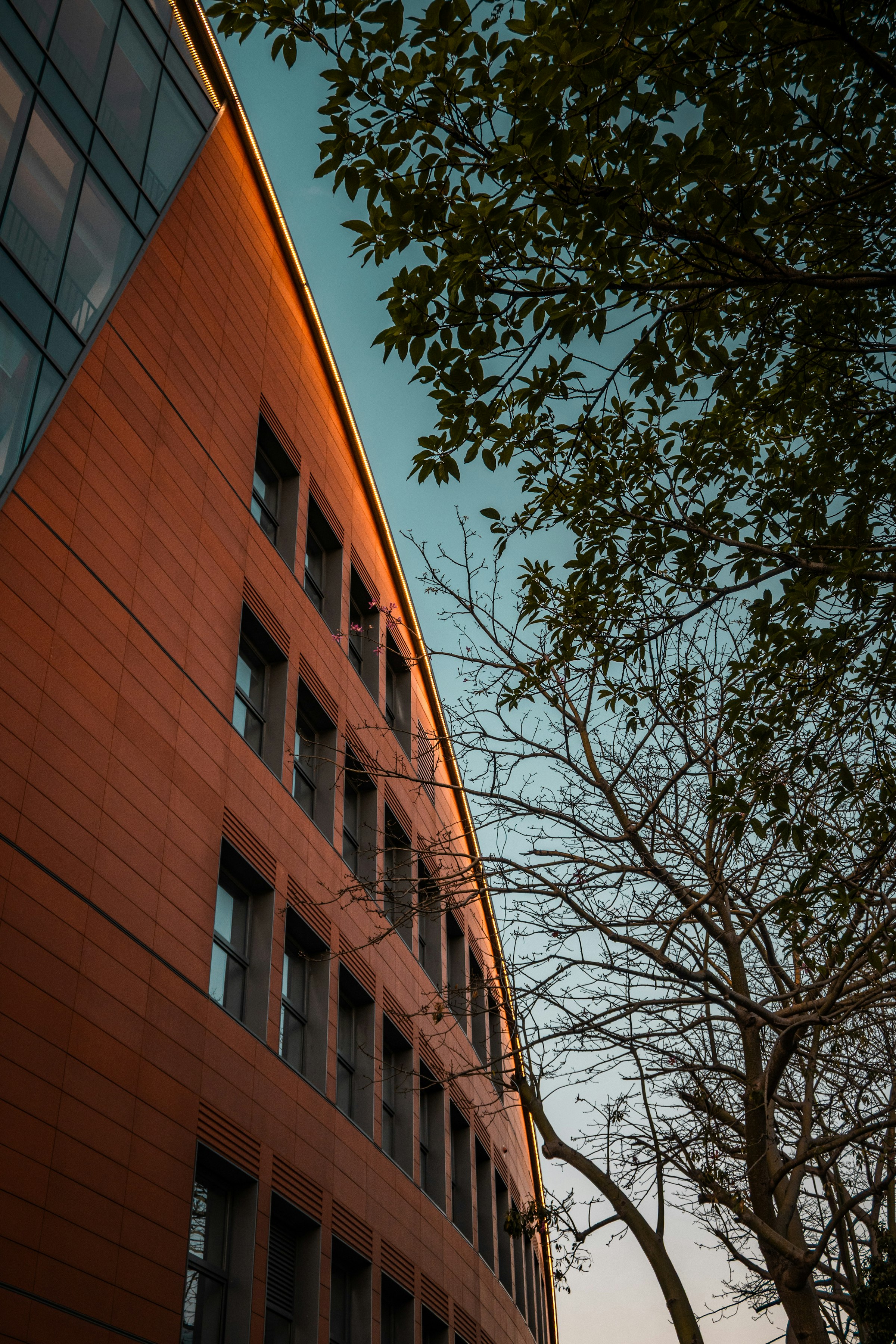 Modern office building with trees