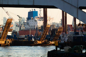 Ships and cranes in a busy harbor.