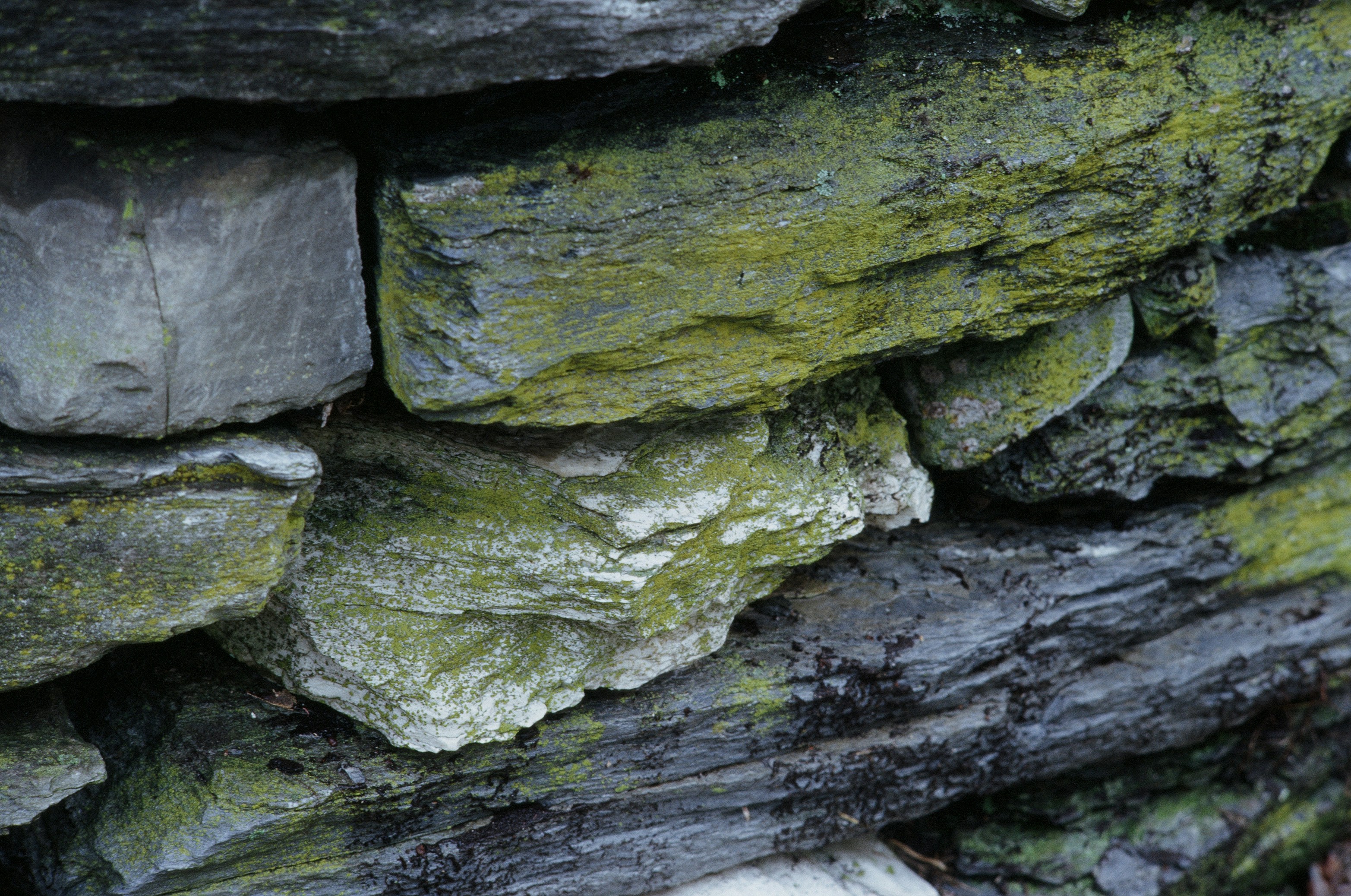 Photo by austin_7792