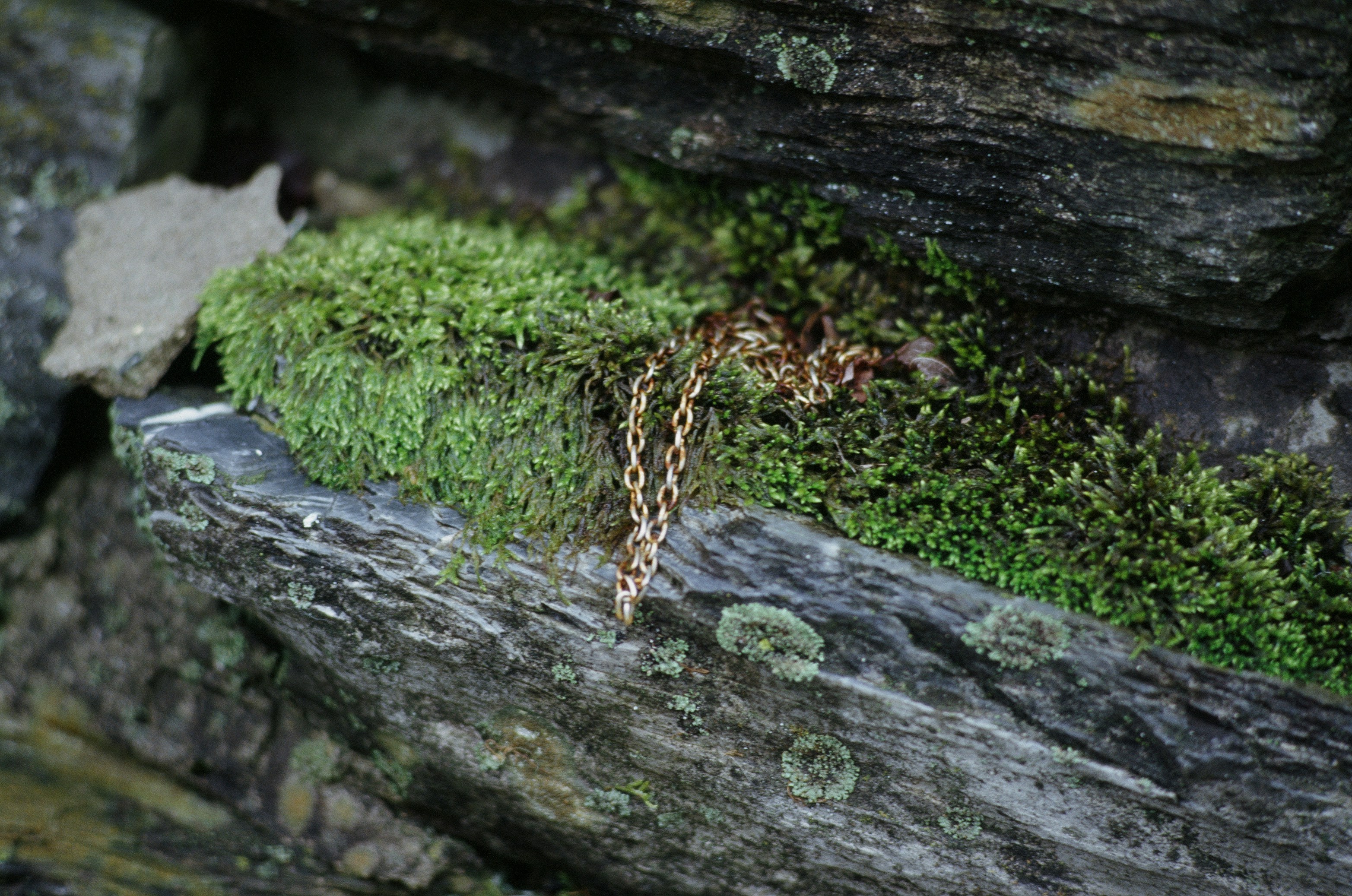 Photo by austin_7792