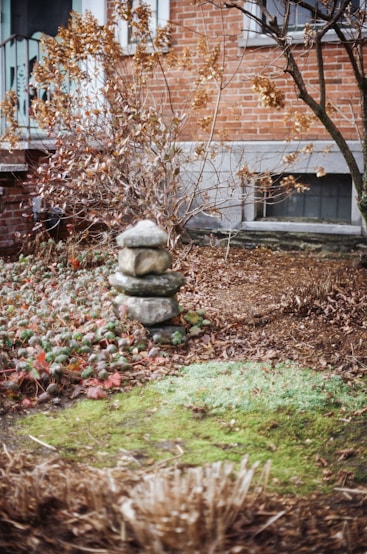 Stacked garden stones with dry plants before Hedgie Wilder installs an irrigation system in Plovdiv.