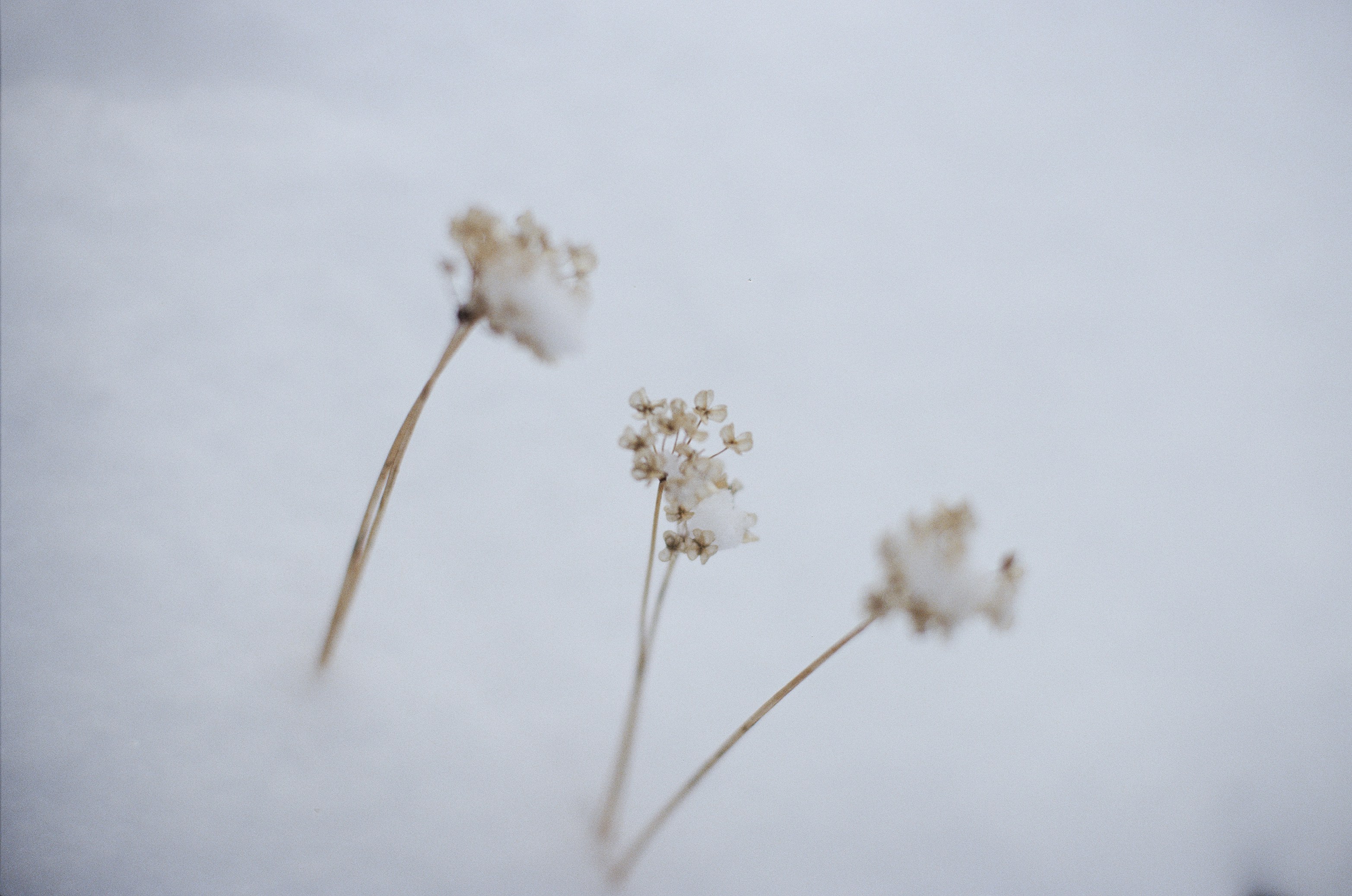 Photo by austin_7792