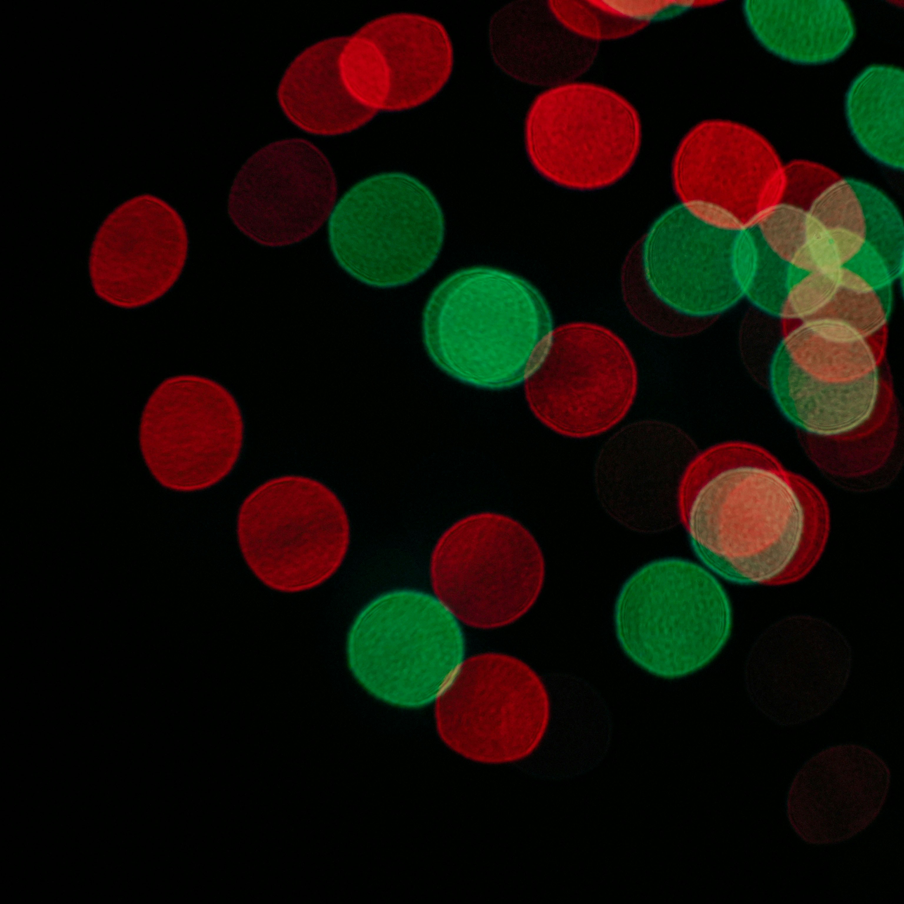 Abstract red and green bokeh lights on black background
