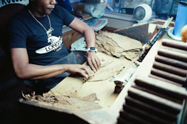 A person rolling tobacco leaves into cigars