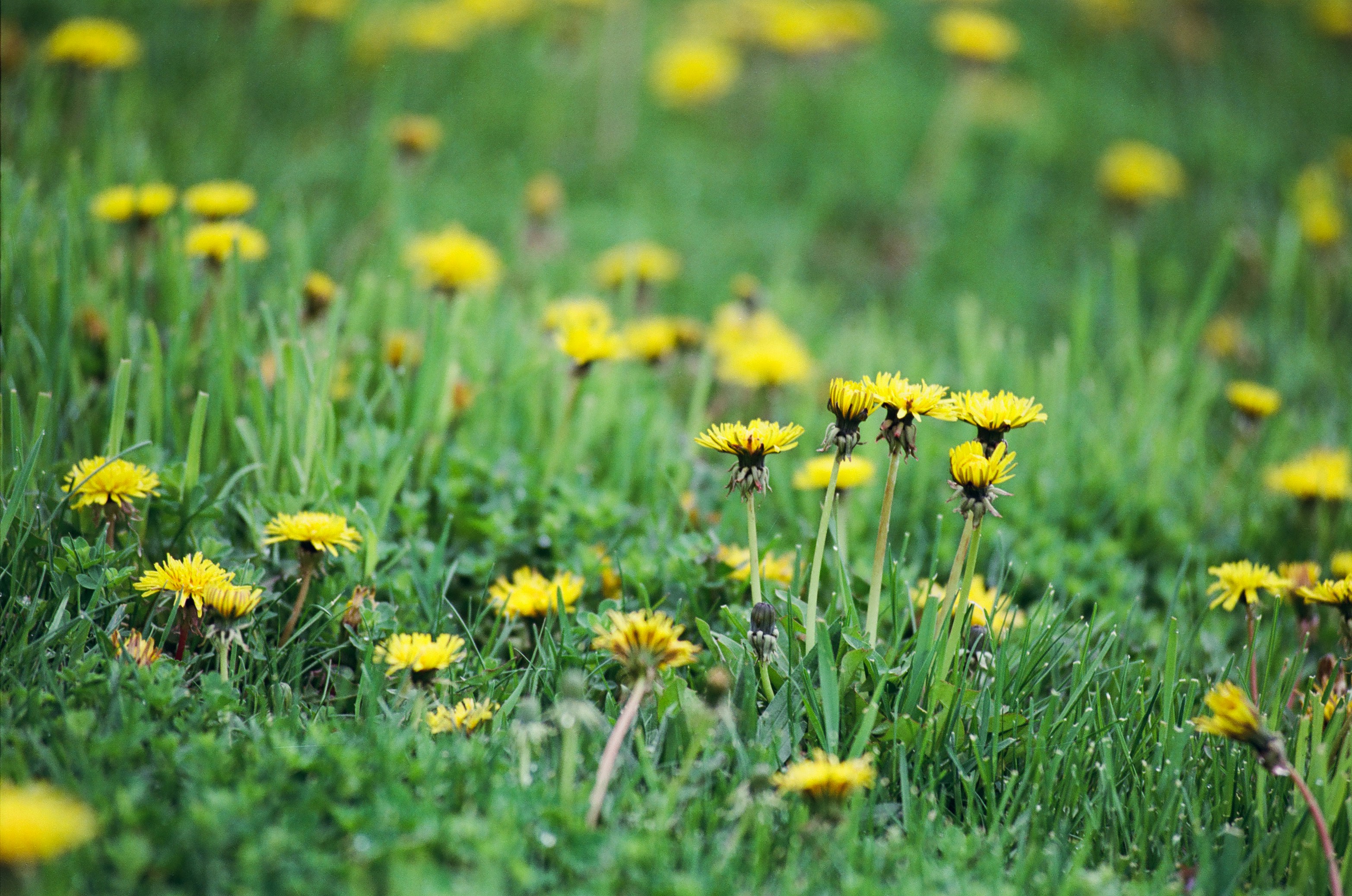 Photo by austin_7792