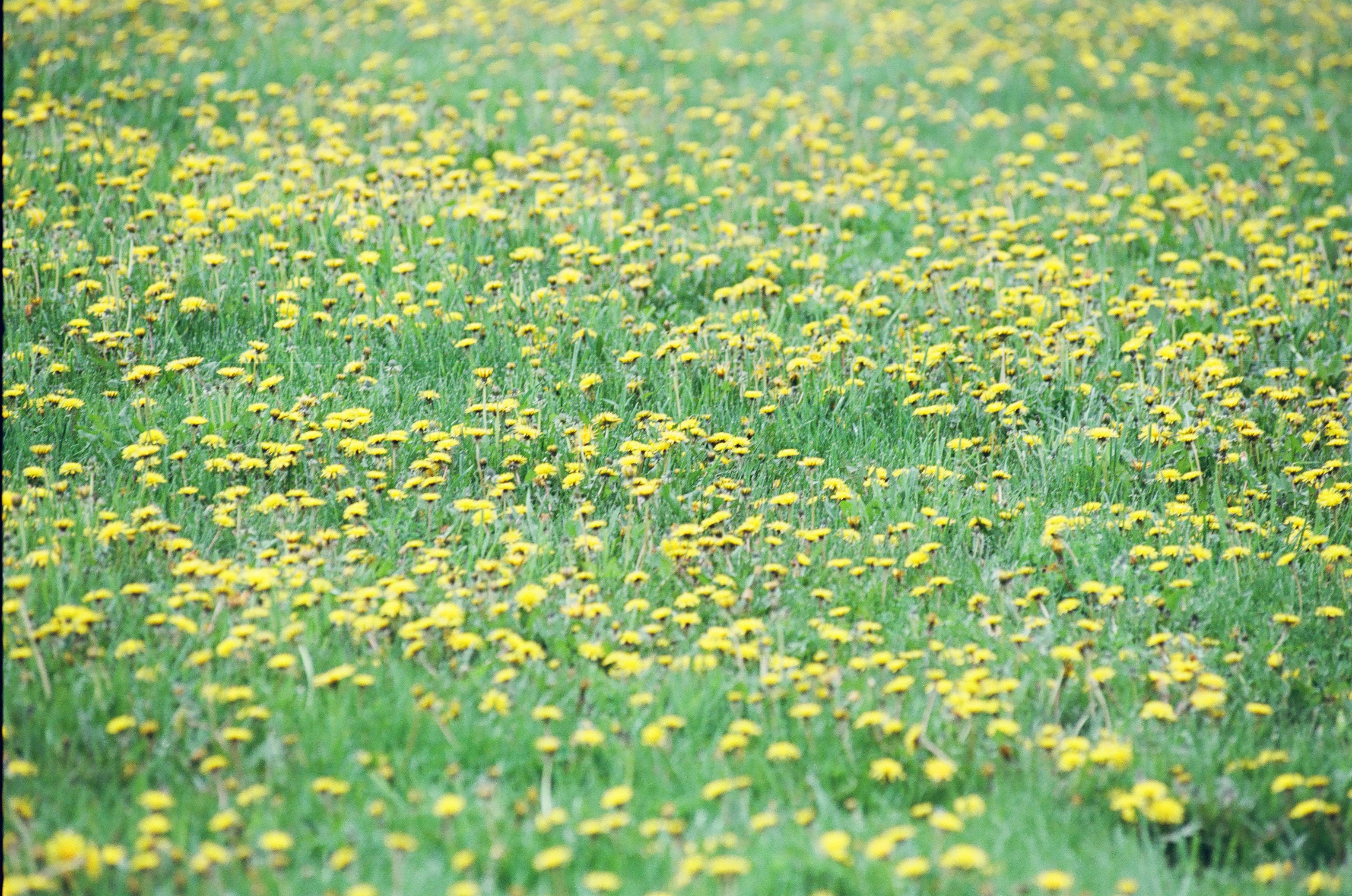 Photo by austin_7792