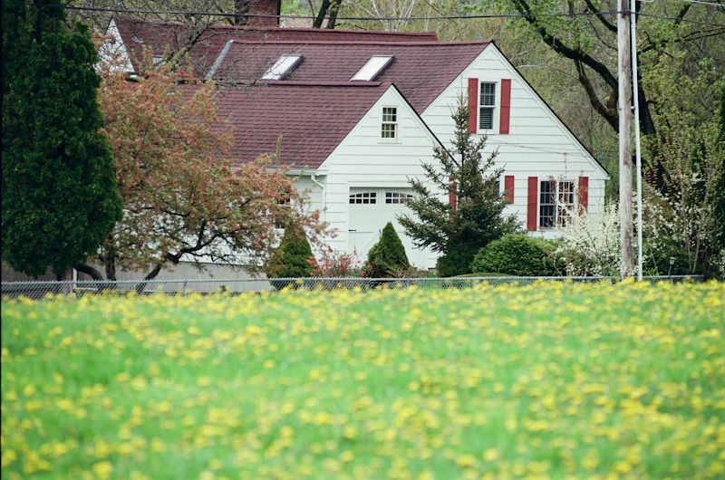 White cape house with red shutters behind a thick green lawn