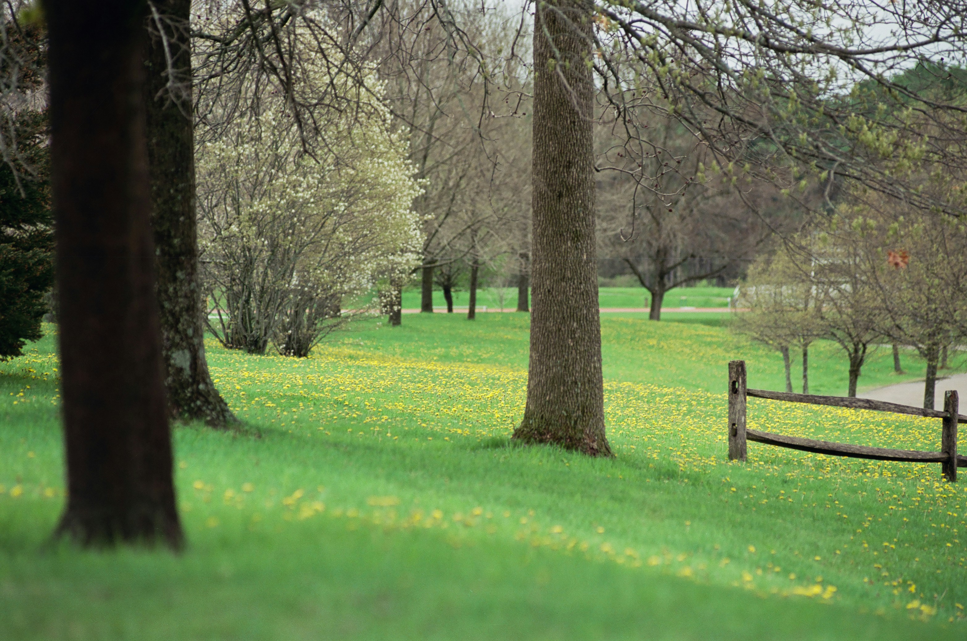 Photo by austin_7792