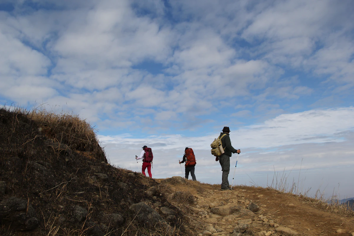 Hikers with trekking poles on a mountain ridge demonstrating proper strap technique