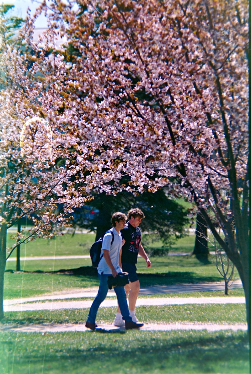 Cover Image of the Post