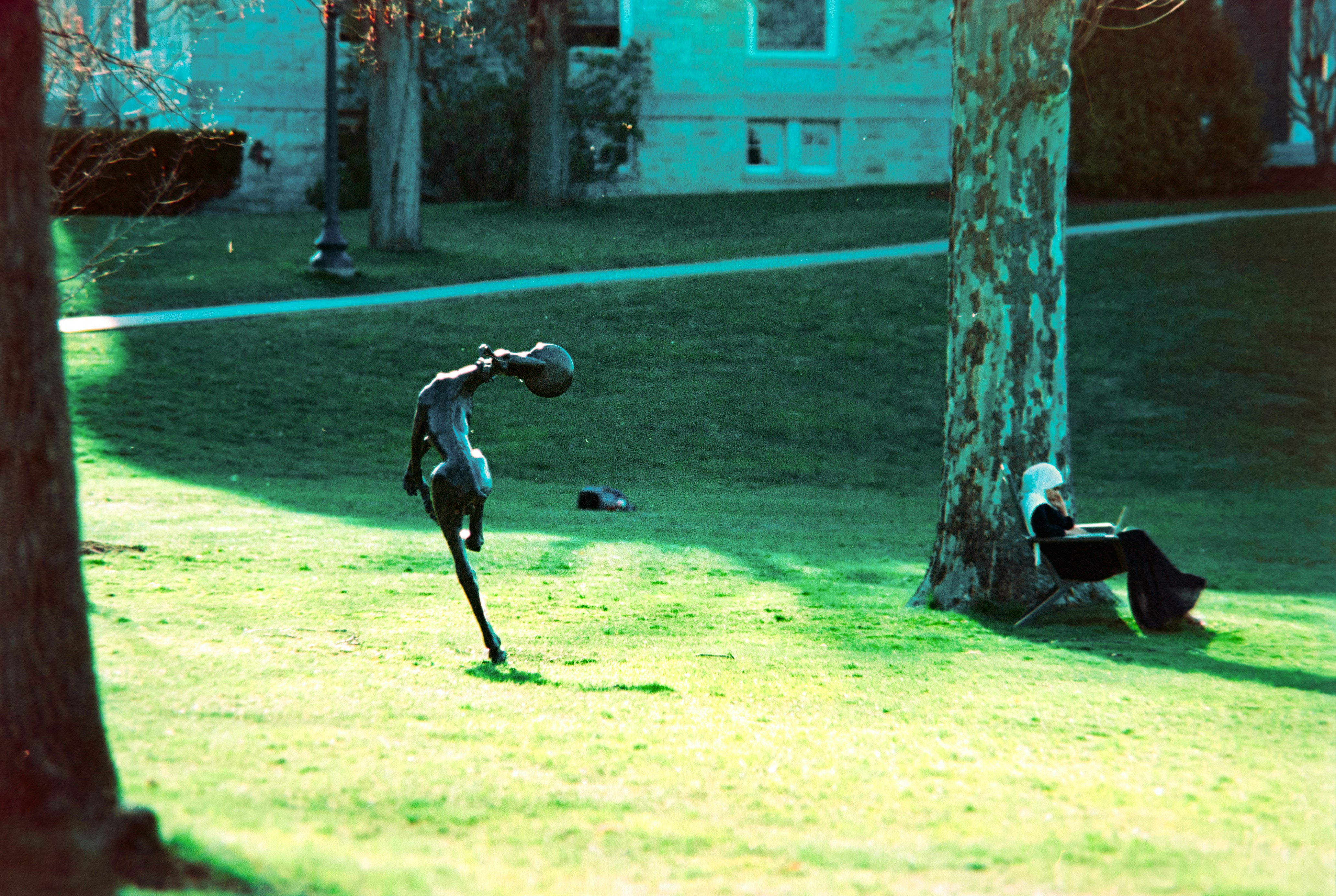Peaceful park setting