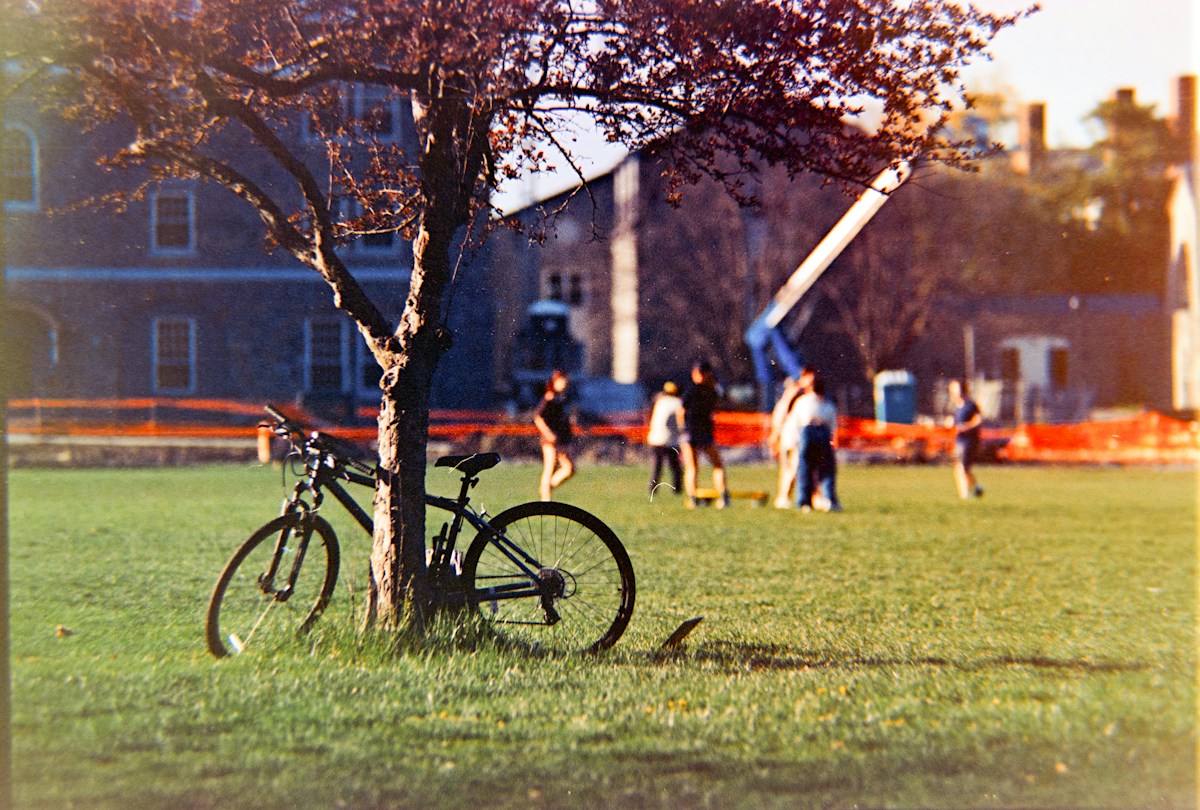 Bicycle leaning against a tree in a park with people enjoying end of school year activities in the background